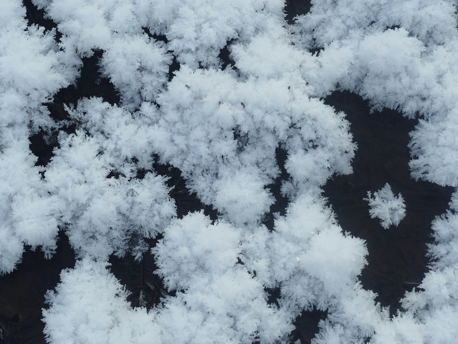 Motivi cristallini bianchi simili a fiocchi di neve su uno sfondo scuro
