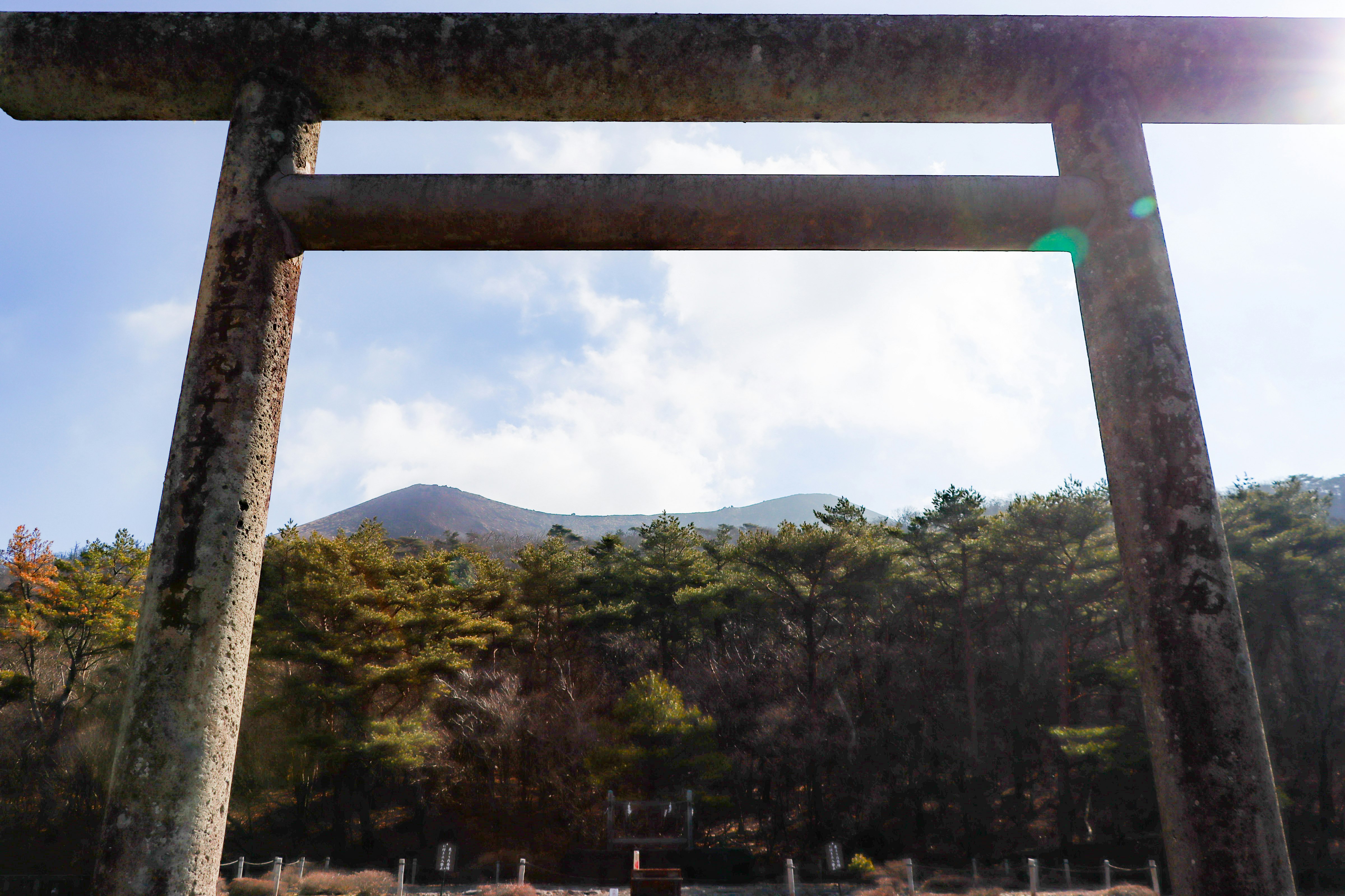 鳥居の向こうに広がる山と森の景色