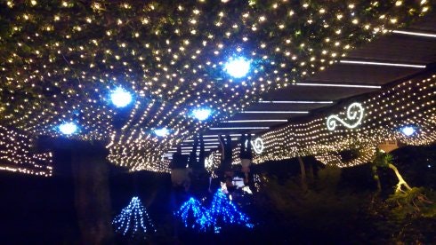 Jozan Hotel Christmas illumination light tunnel