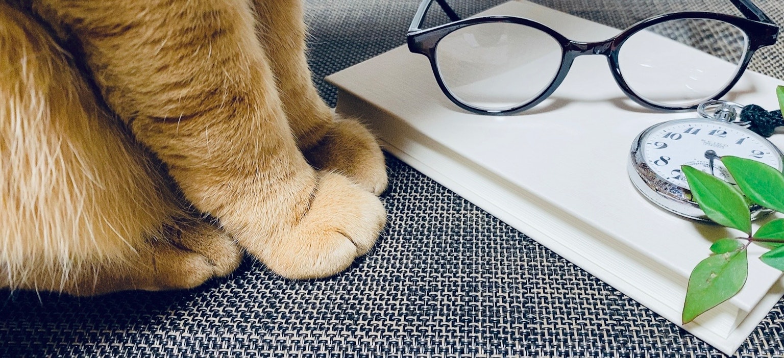 一只猫的爪子旁边有眼镜和时钟的场景