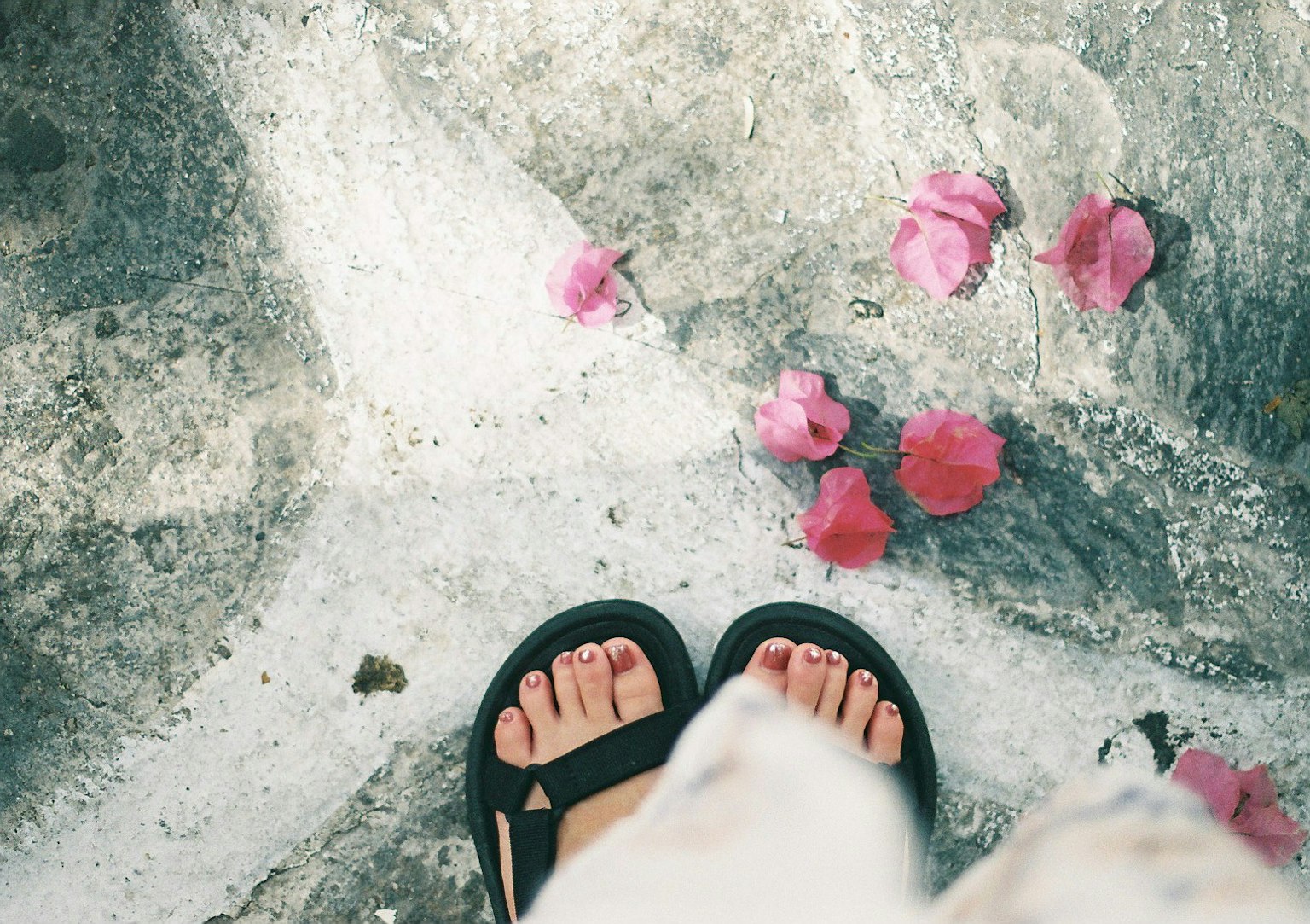 Foto di piedi in sandali con petali di fiori rosa sparsi