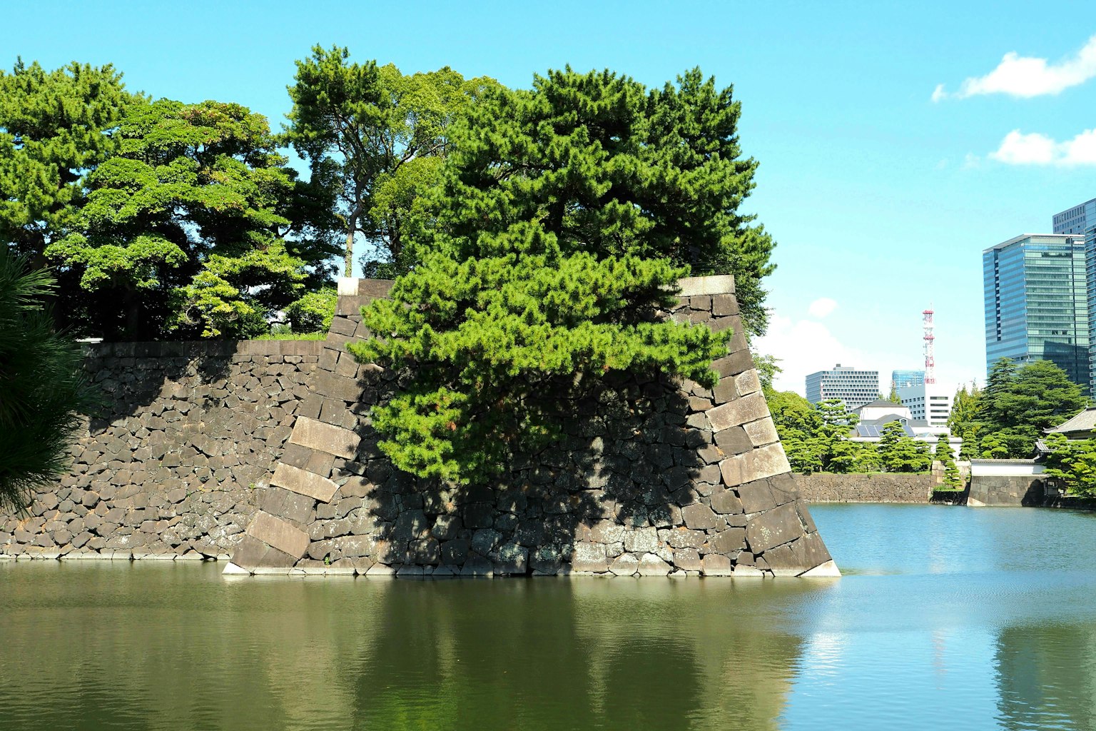 Una vista escénica de árboles exuberantes y muros de castillo junto a un lago