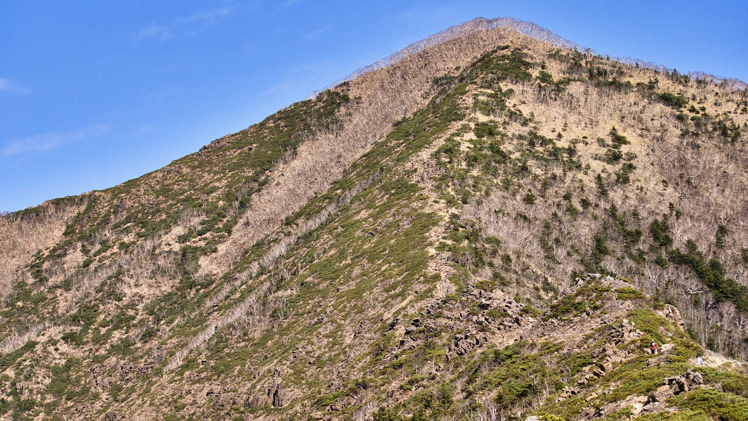 A landscape featuring a mountain slope with green and brown vegetation
