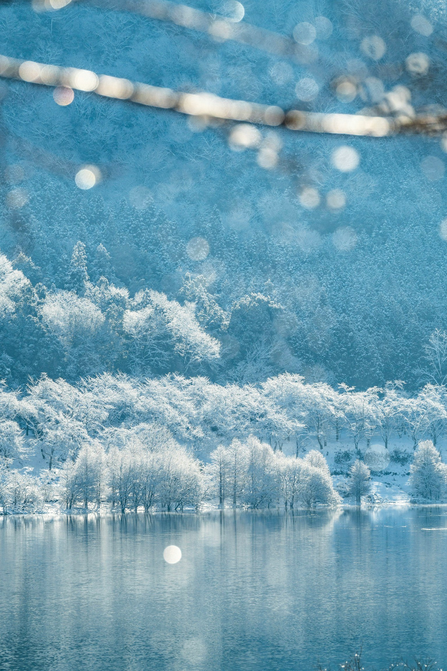 雪覆蓋的湖泊和藍色天空的美麗景觀