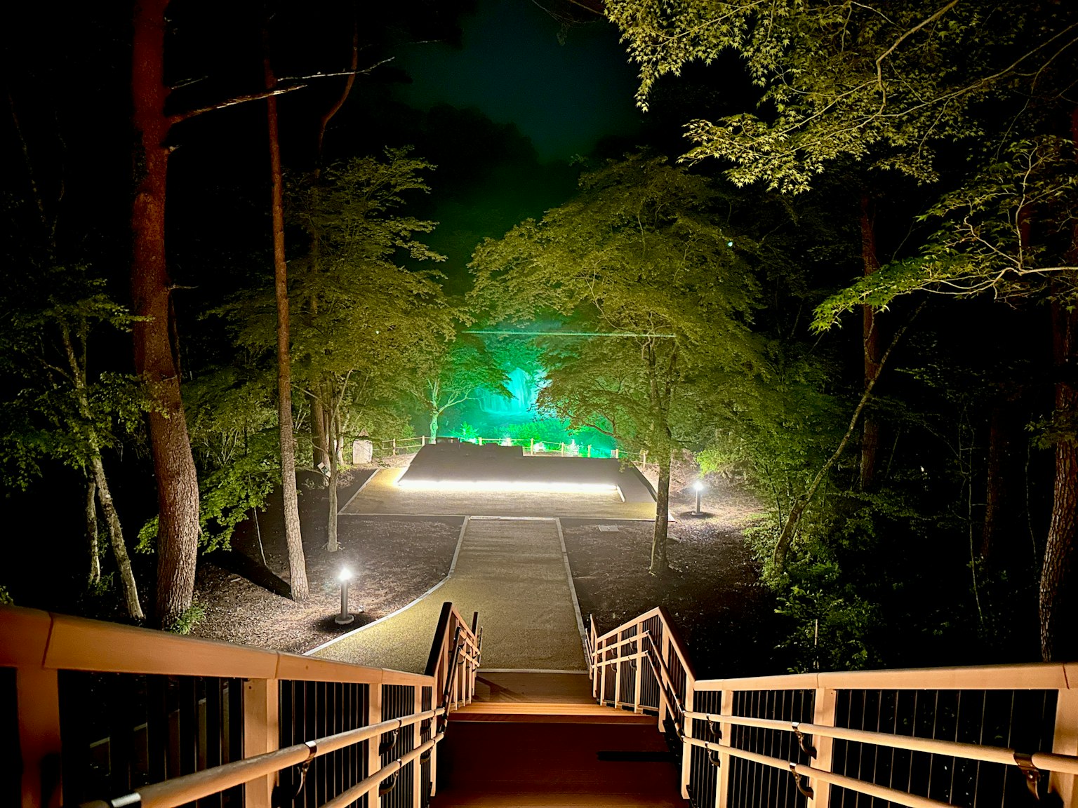 Escaleras que bajan a un bosque con un camino iluminado