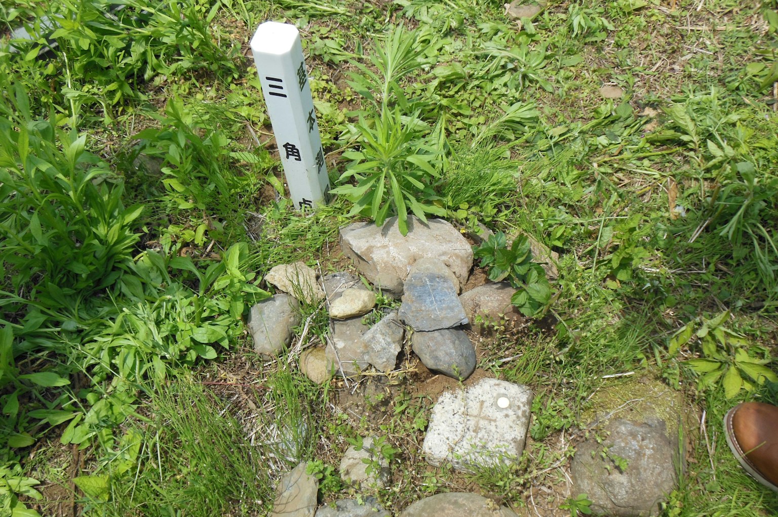 一个石头标记被草和一个白色标杆环绕的风景