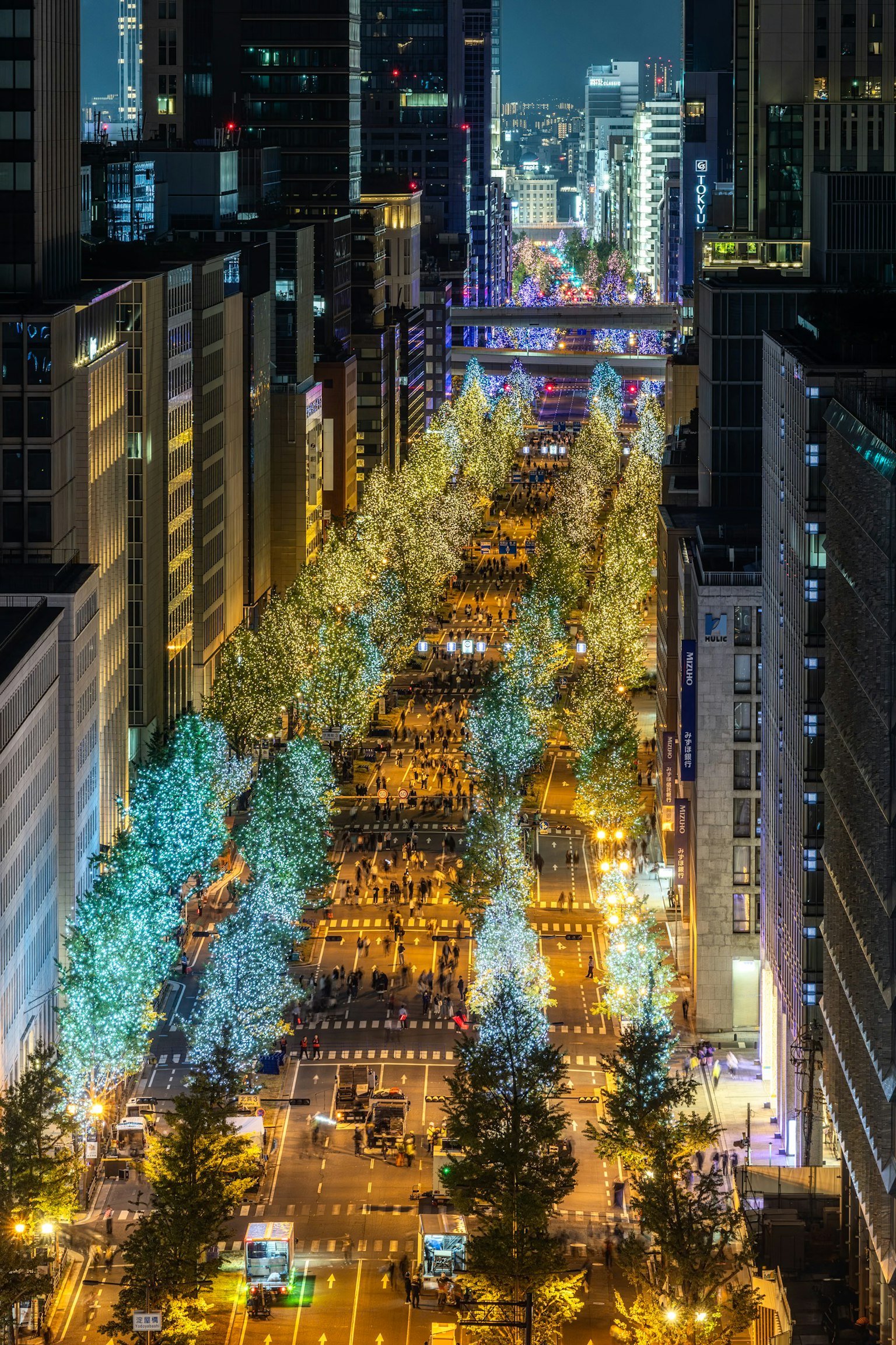夜晚城市风景中树木闪亮的街道