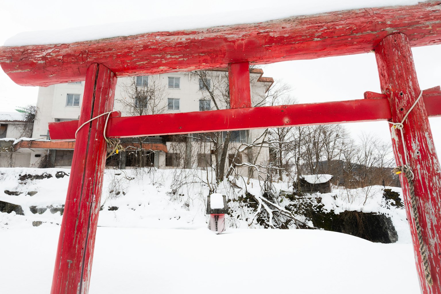 被雪覆蓋的紅色鳥居和背景建築