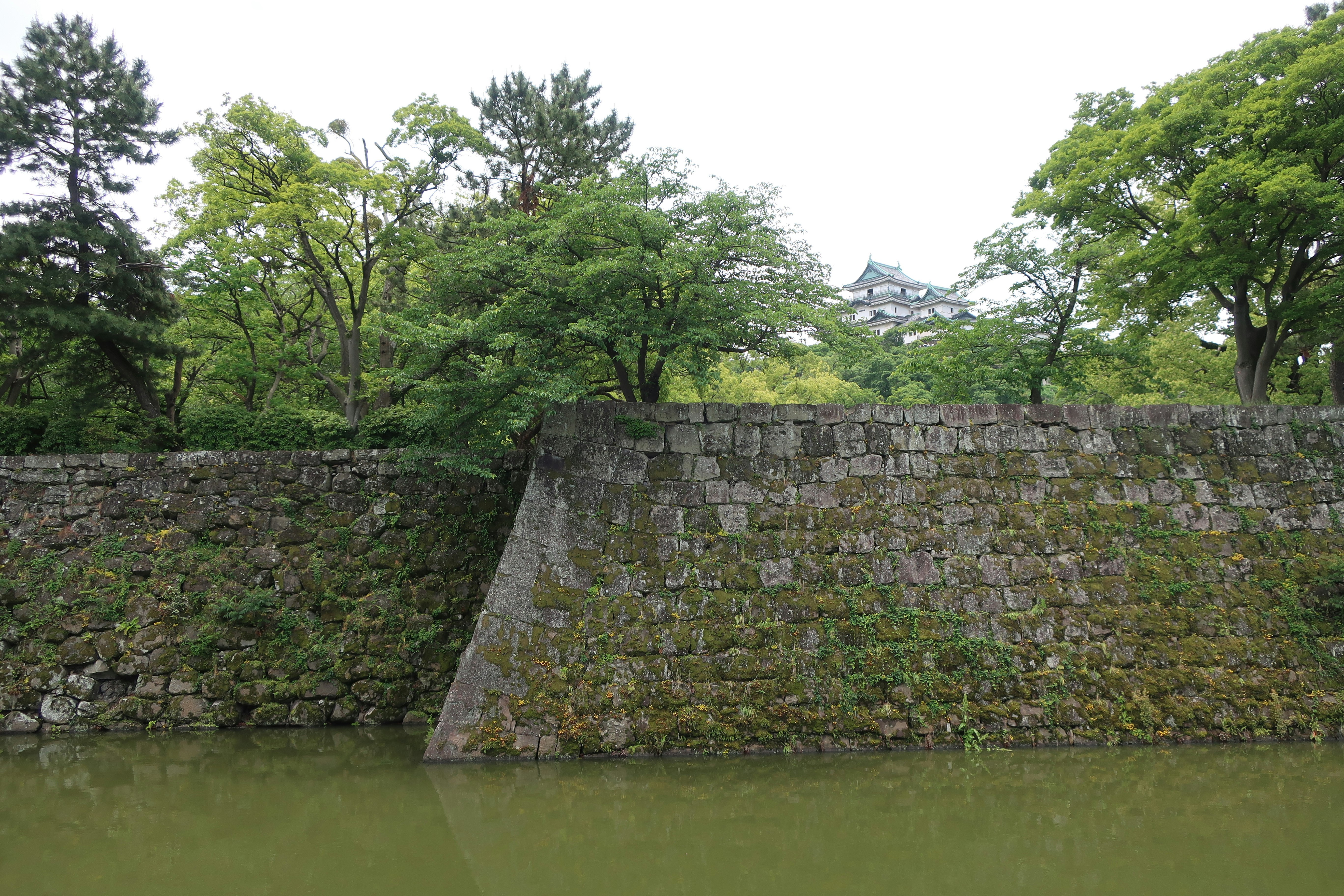 Thành đá của lâu đài Wakayama và cảnh hào nước xanh