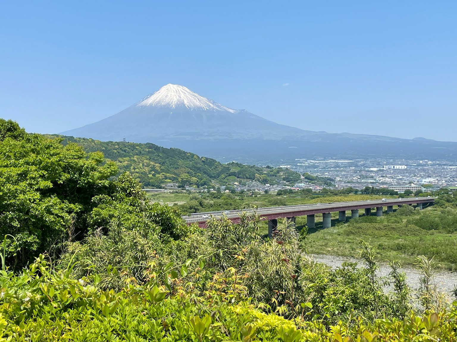 Vista panoramica del monte Fuji con vegetazione lussureggiante