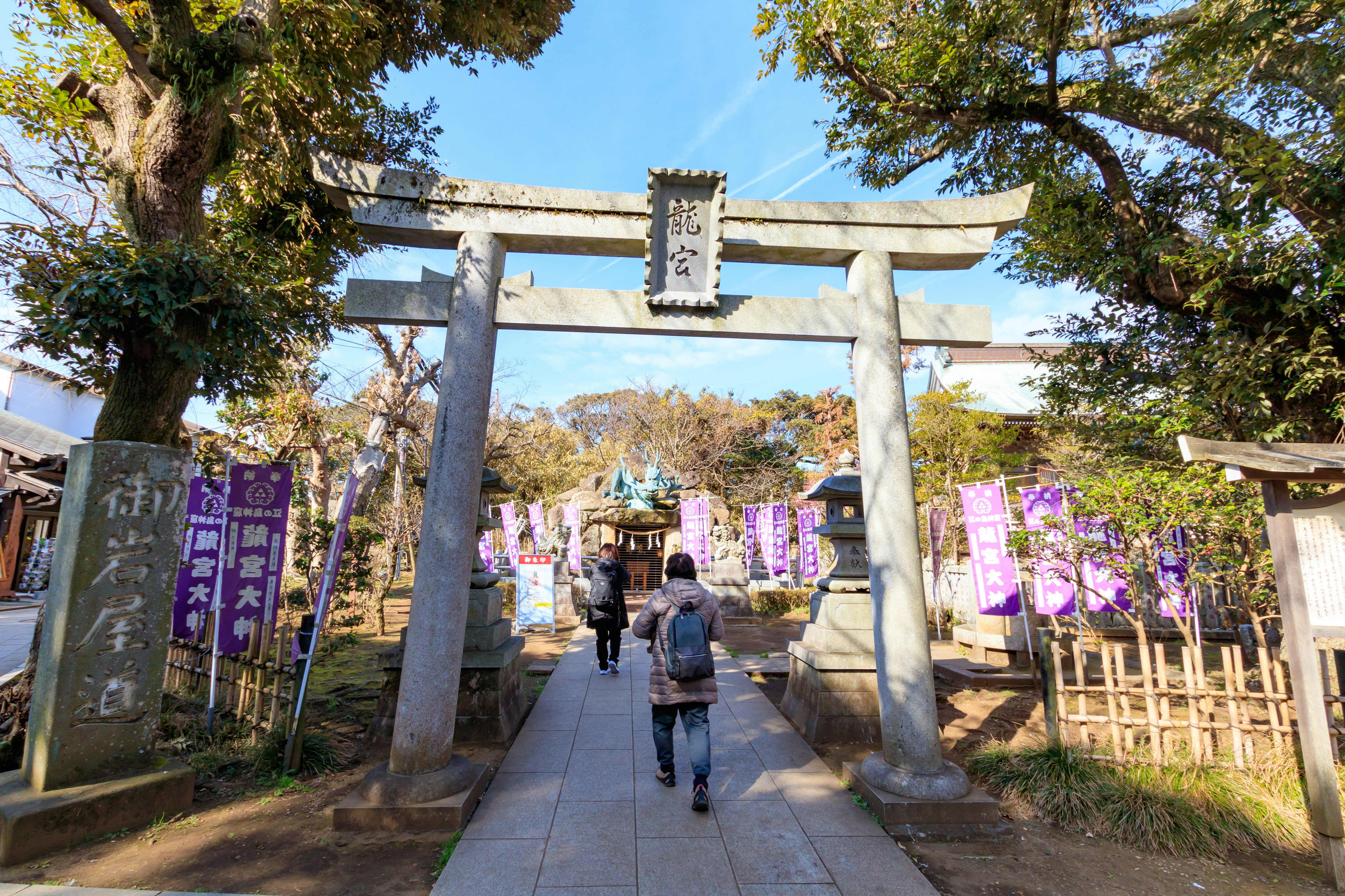 A person walking through a torii gate at a shrine with purple lanterns in the background