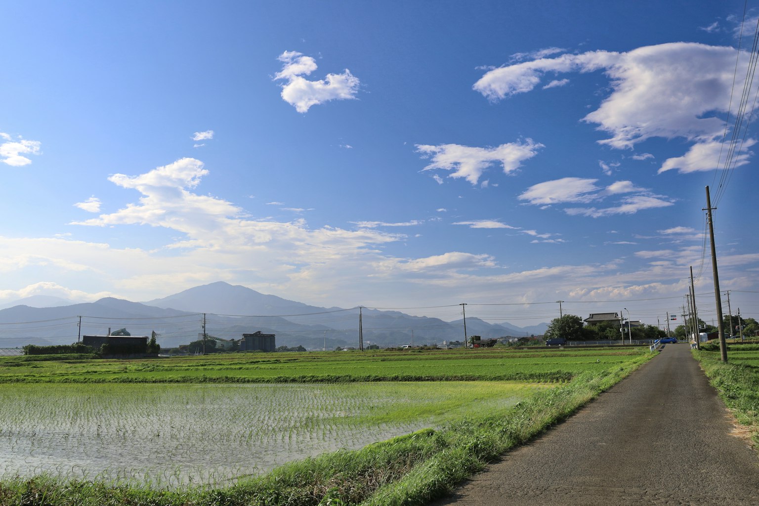 ทิวทัศน์ชนบทที่สวยงามมีนาข้าวเขียวและท้องฟ้าสีฟ้า