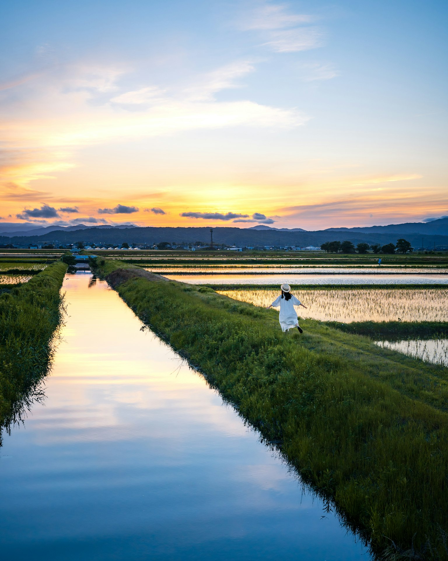 Hermoso paisaje de arrozales con un cielo al atardecer y una persona trabajando en el campo