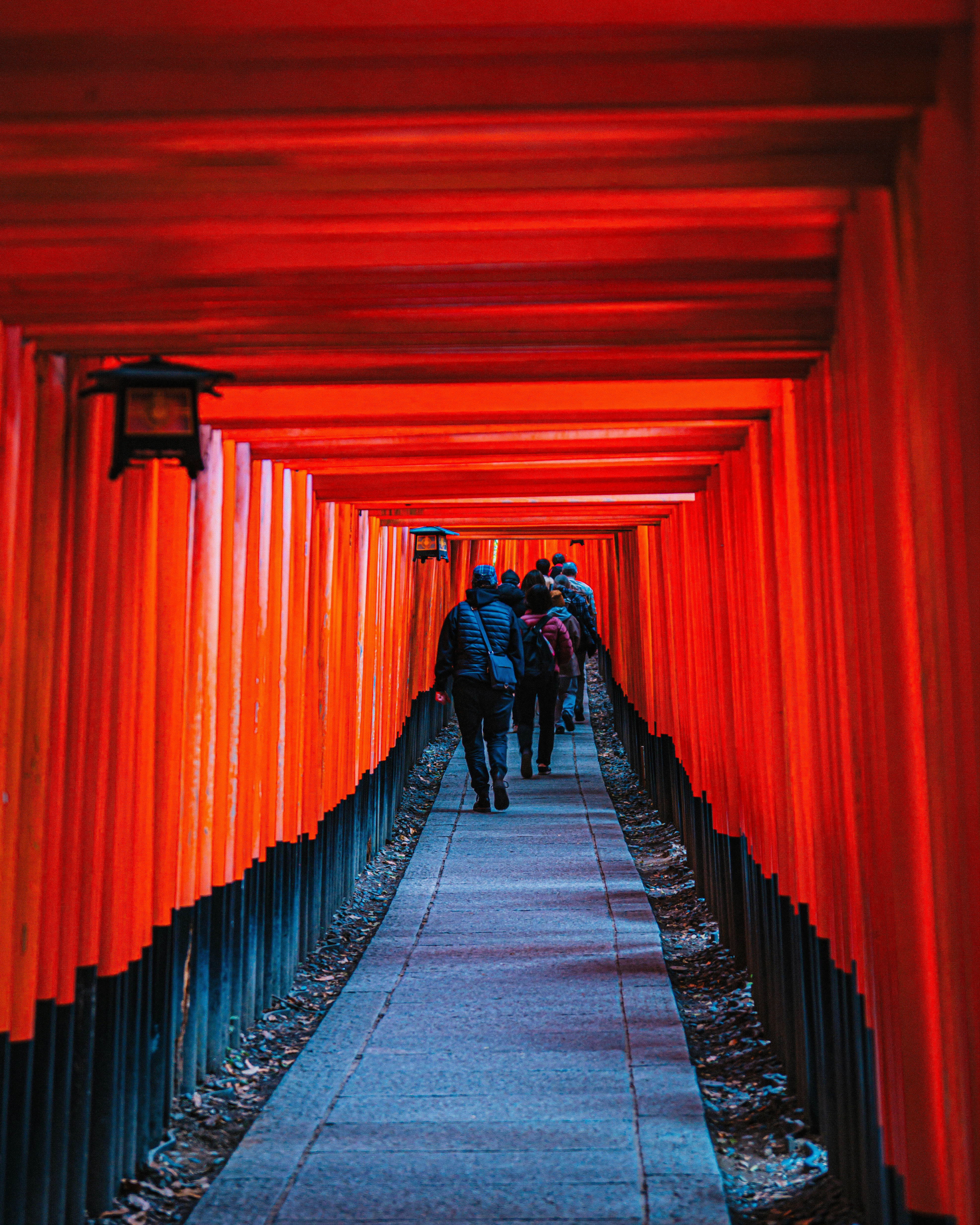 赤い鳥居が並ぶ道を歩く人々の風景