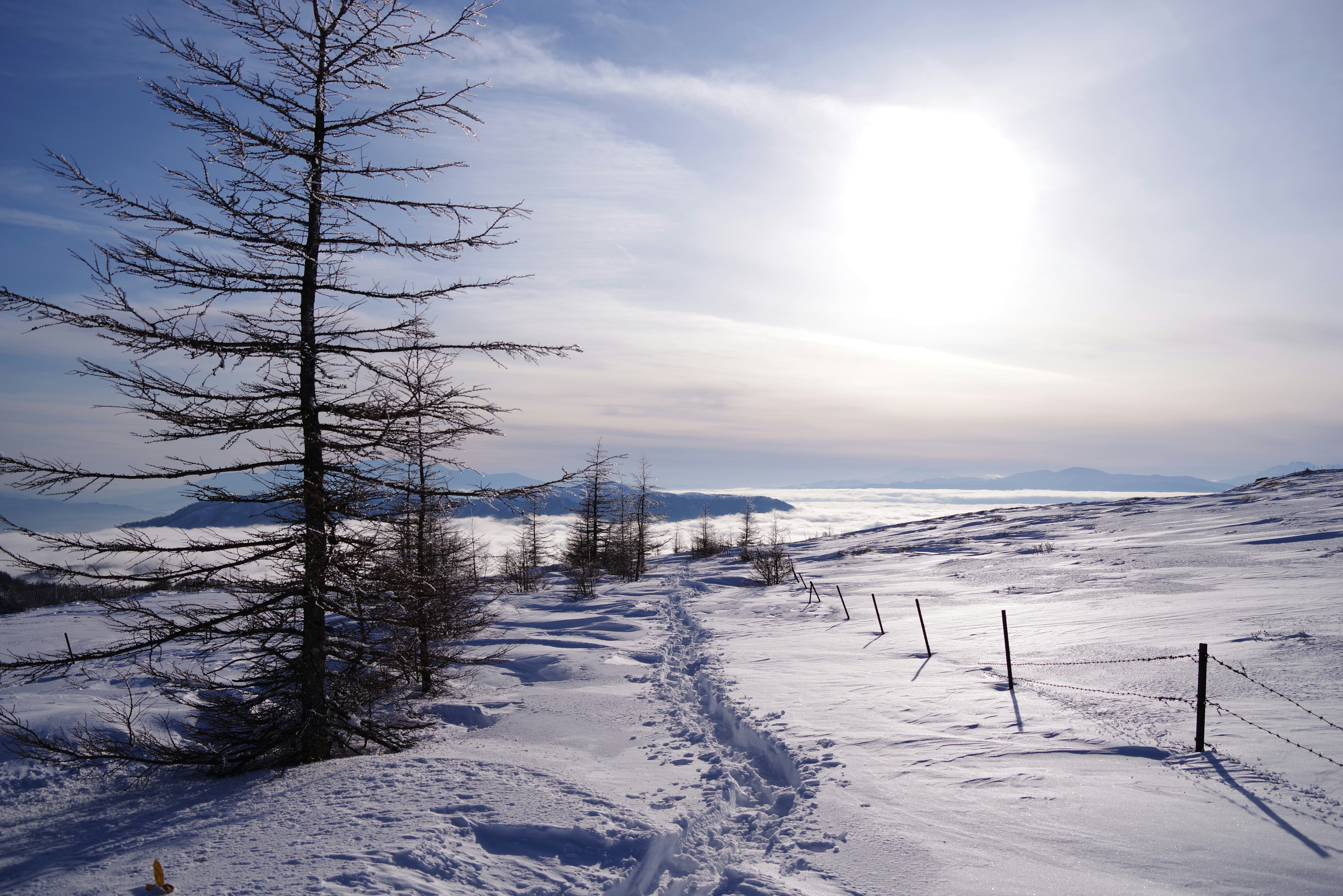 Snow-covered landscape with scattered trees and blue sky