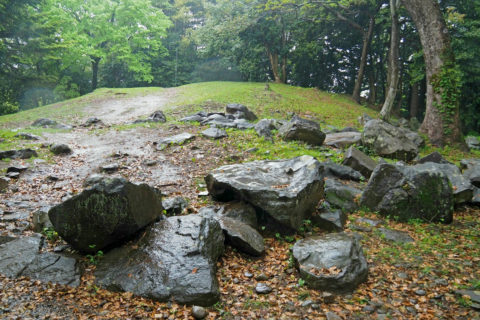 Un'area collinare con rocce sparse in una foresta verdeggiante
