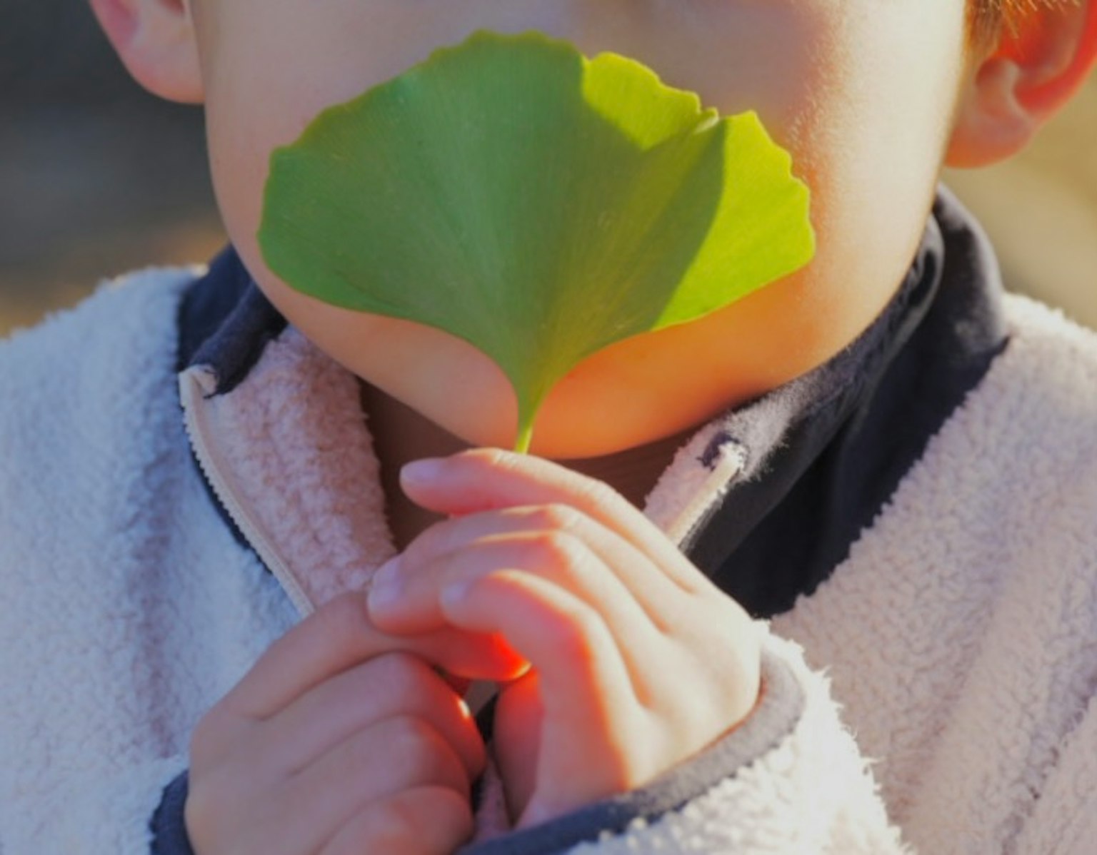 Gros plan d'un enfant tenant une feuille verte près de sa bouche