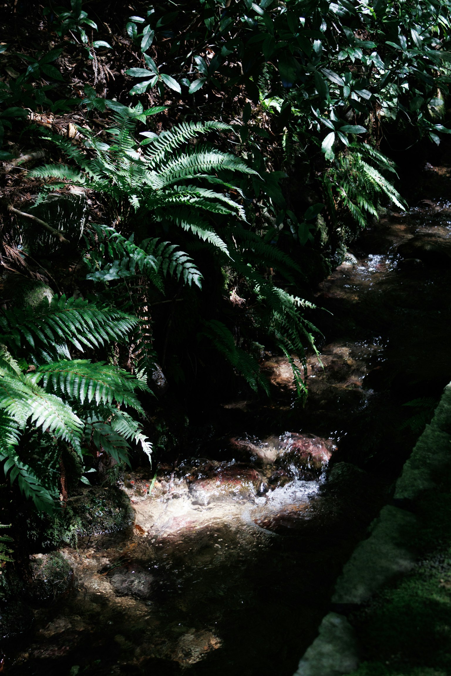 photo-pdJJn2i8hTj4wfEtWU4u-image