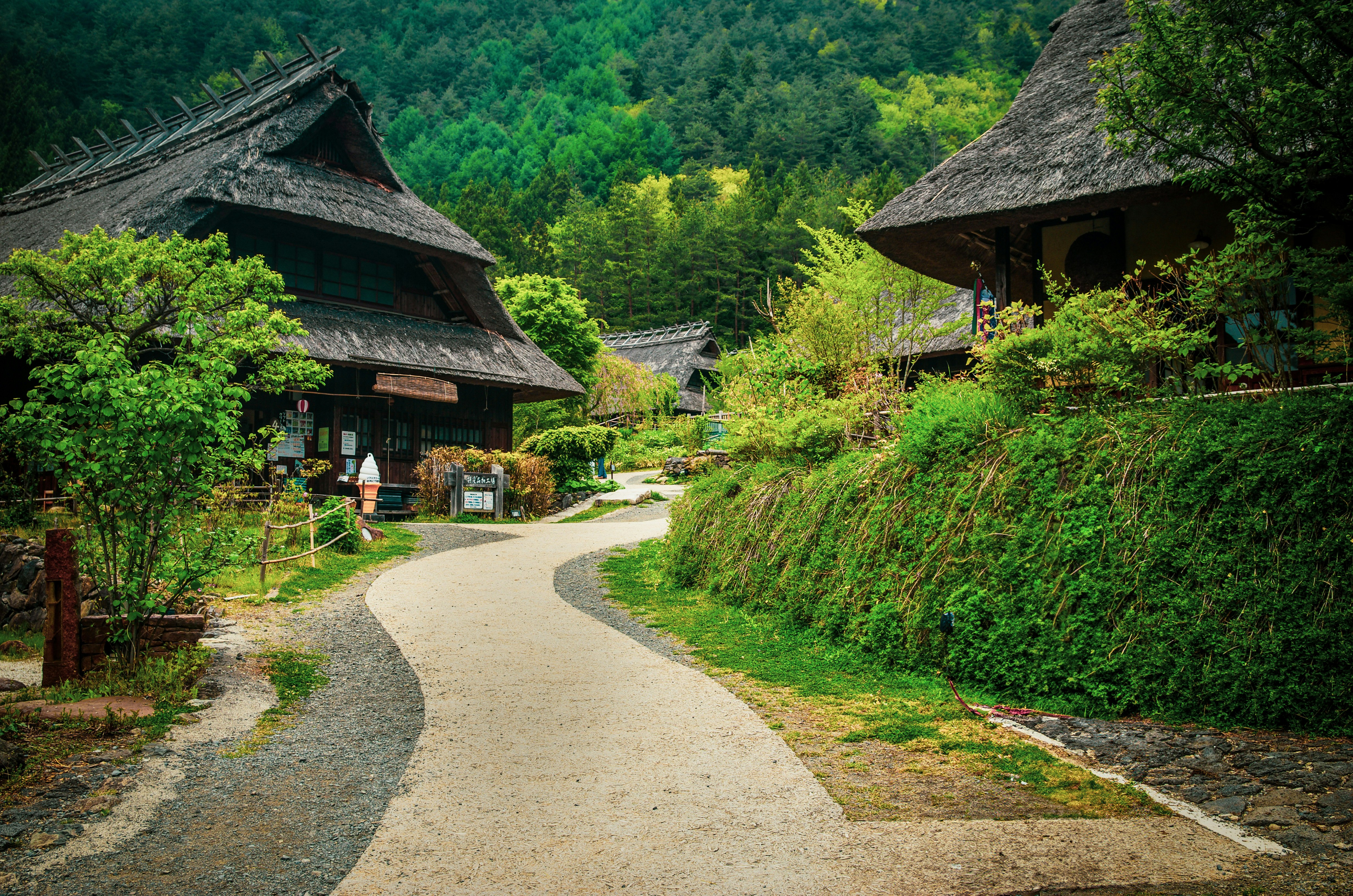 茅草屋顶的传统民居沿着蜿蜒小路坐落在青翠群山间