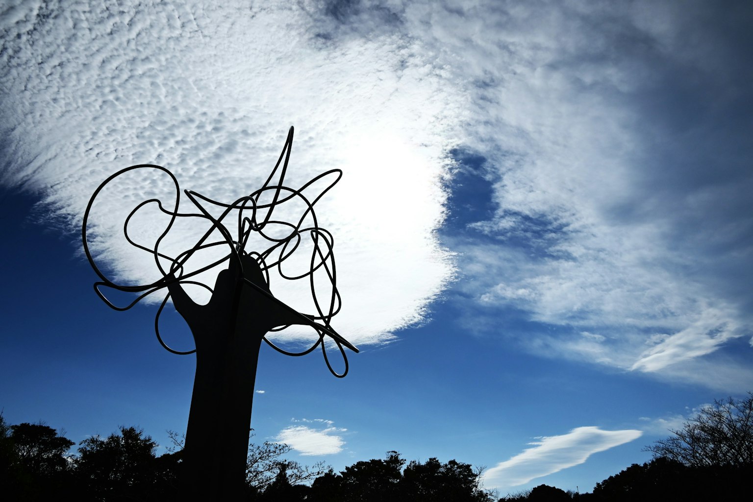 Silhouette d'un arbre au design unique contre un ciel bleu avec des nuages blancs
