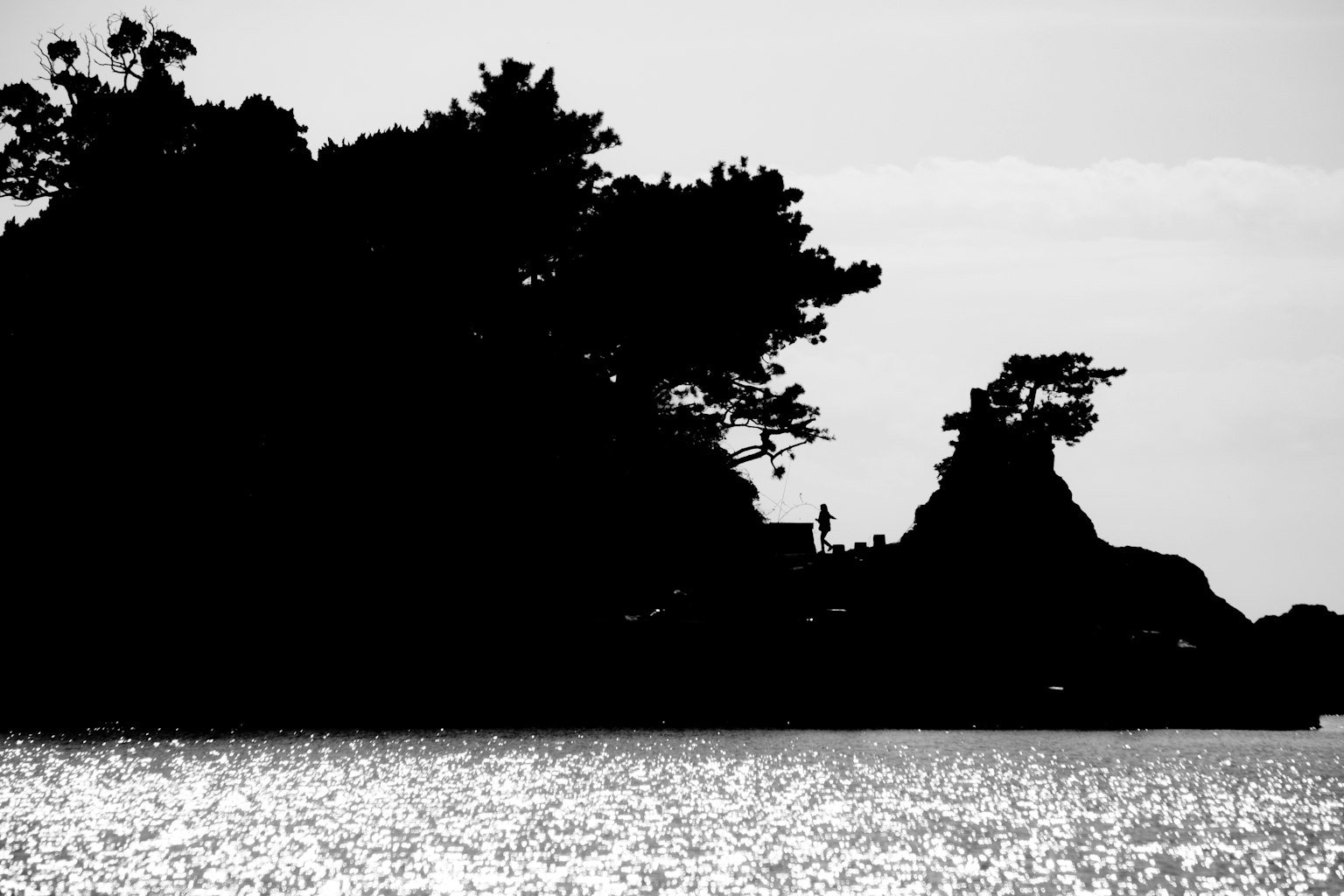 Image monochrome d'arbres en silhouette contre une mer tranquille