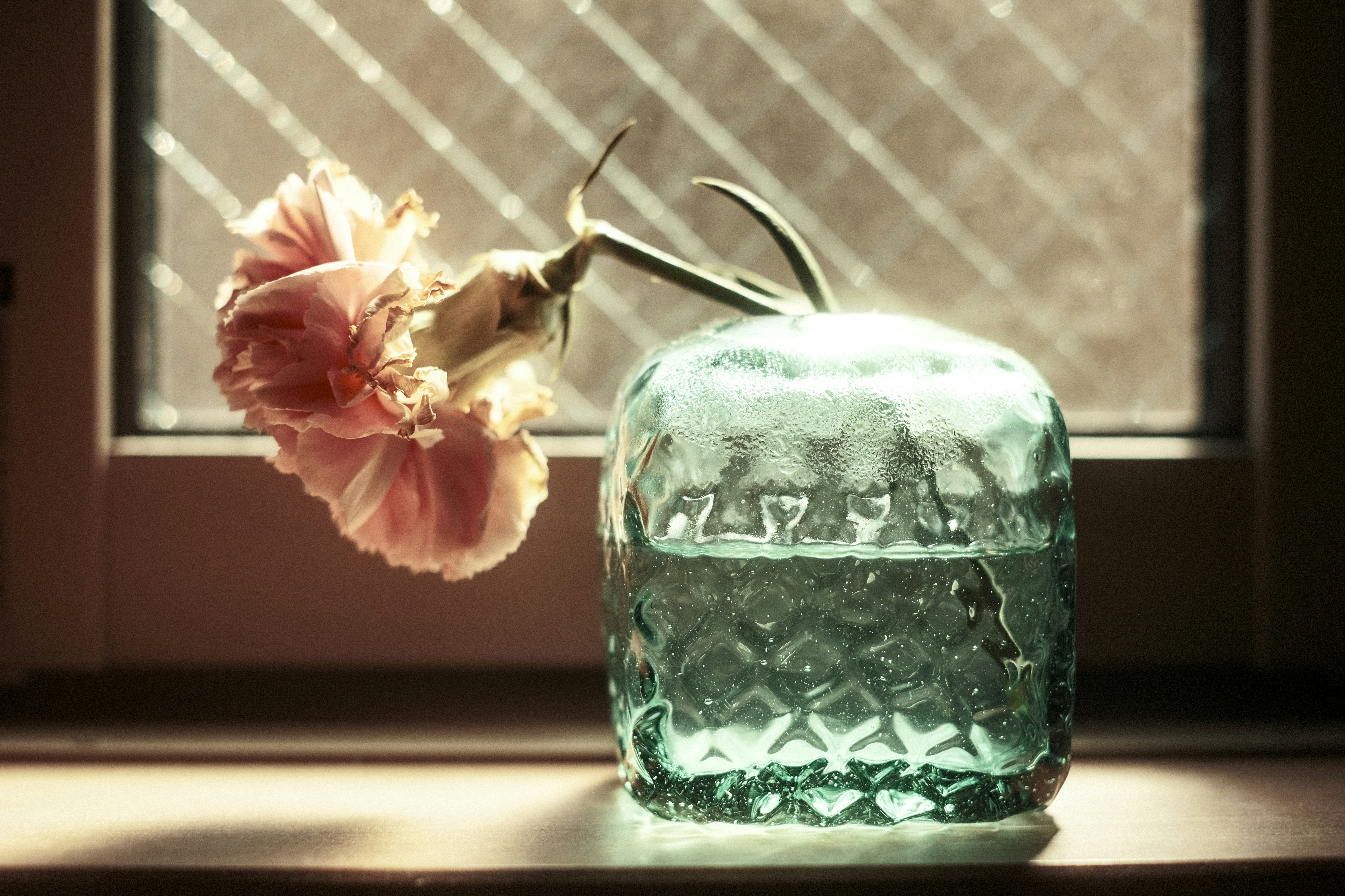 bouteille en verre et fleur sur un rebord de fenêtre