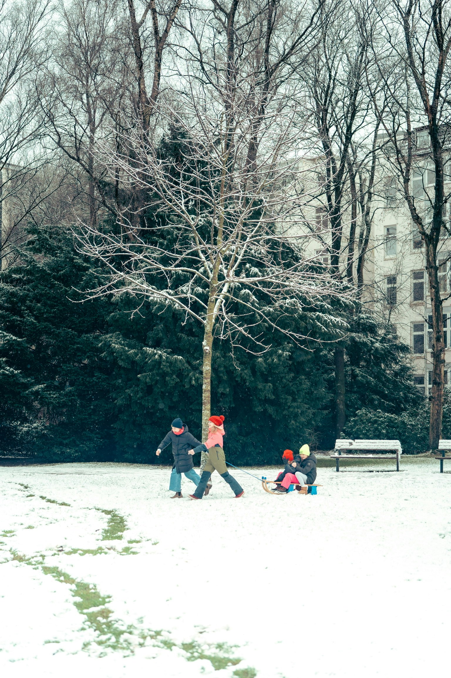 雪に覆われた公園で遊ぶ子供たちと木