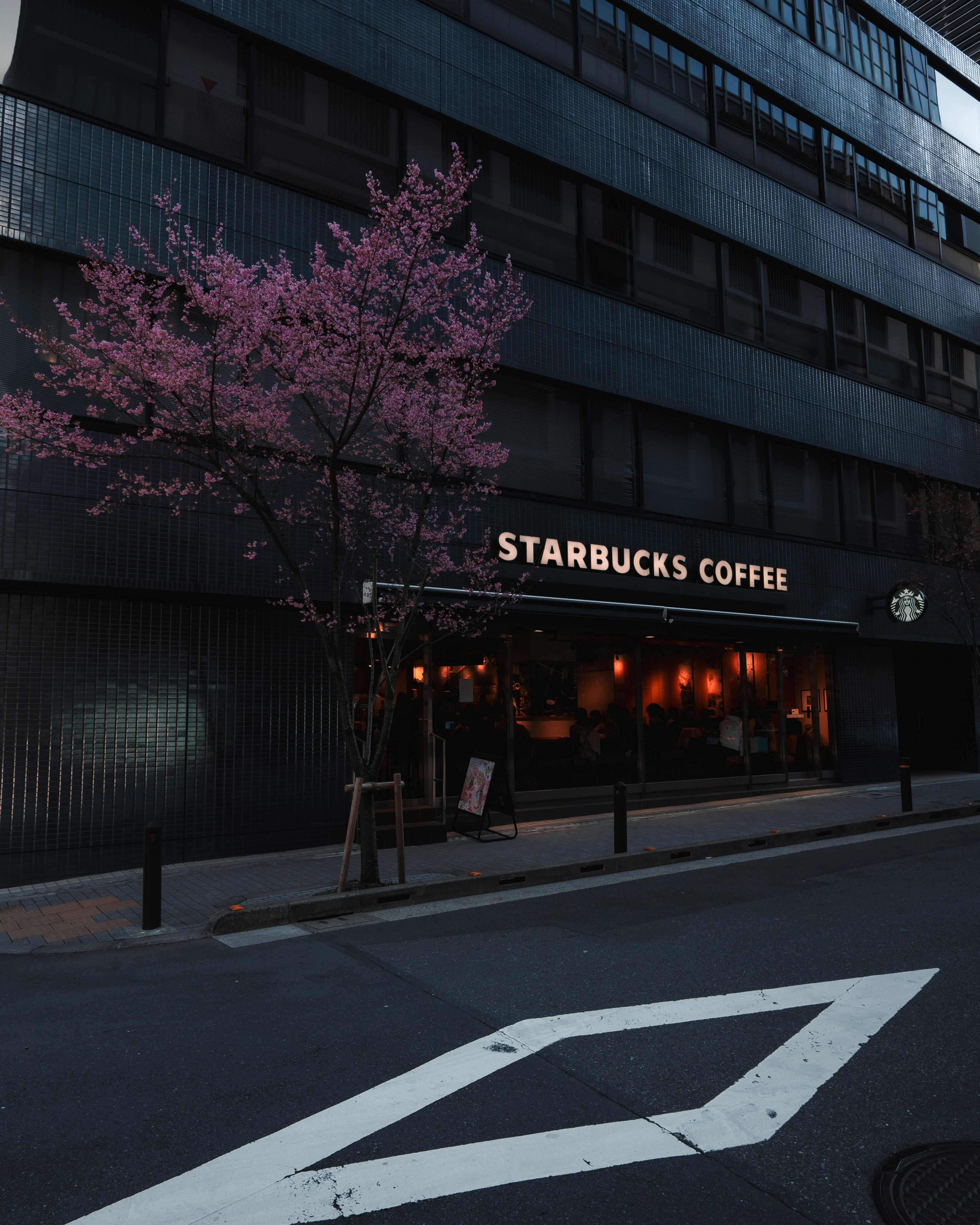 桜の木の下にあるスターバックスの店舗入口の街角