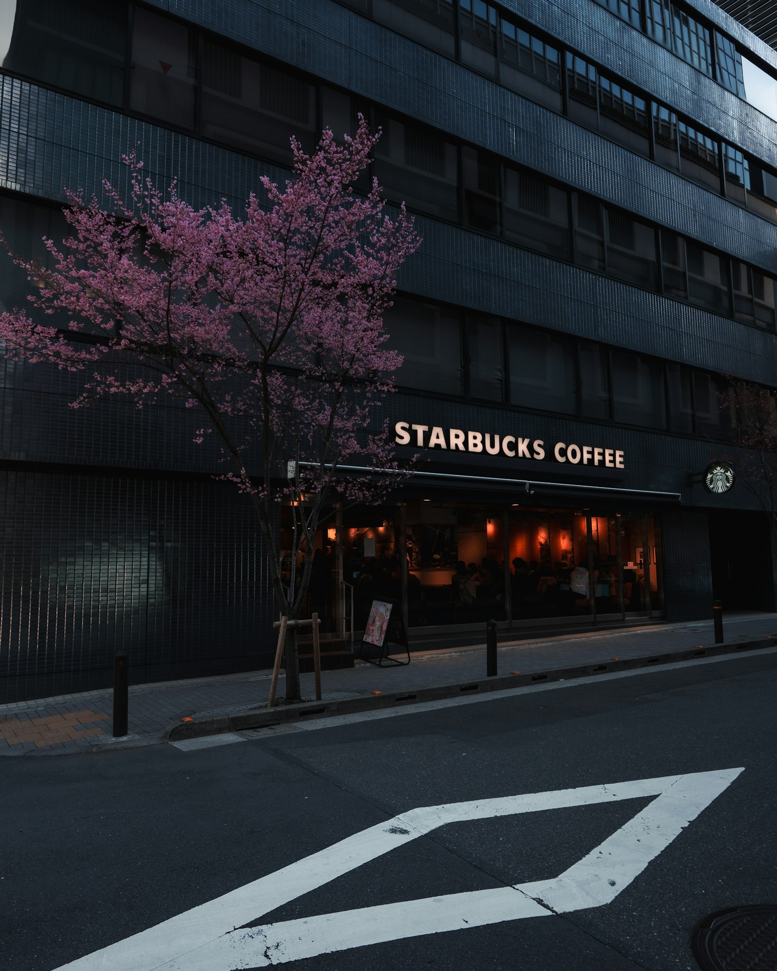 Vue extérieure de Starbucks Coffee avec un cerisier en fleurs