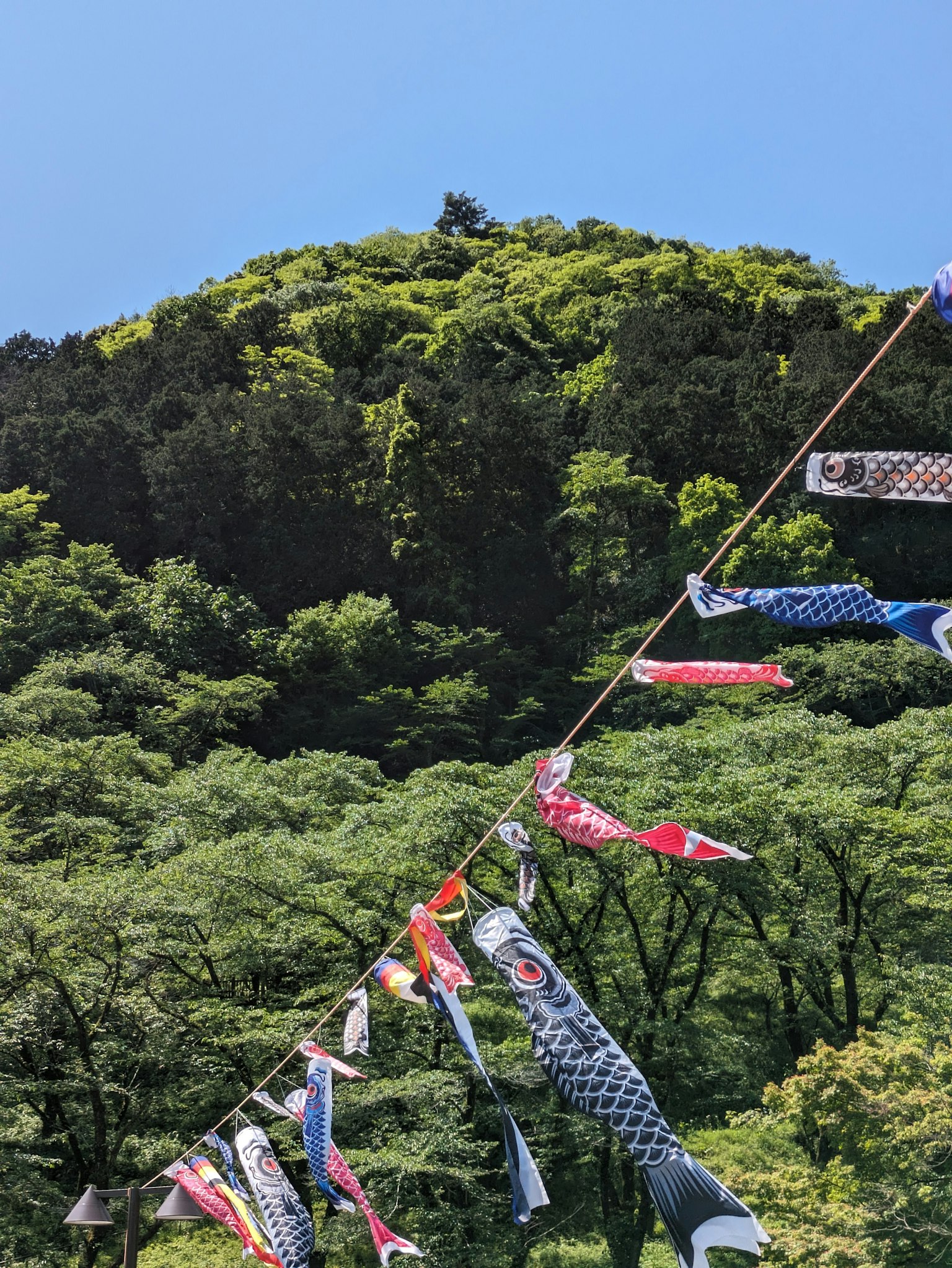 Bandierine colorate di koi che sventolano su uno sfondo di montagna verdeggiante