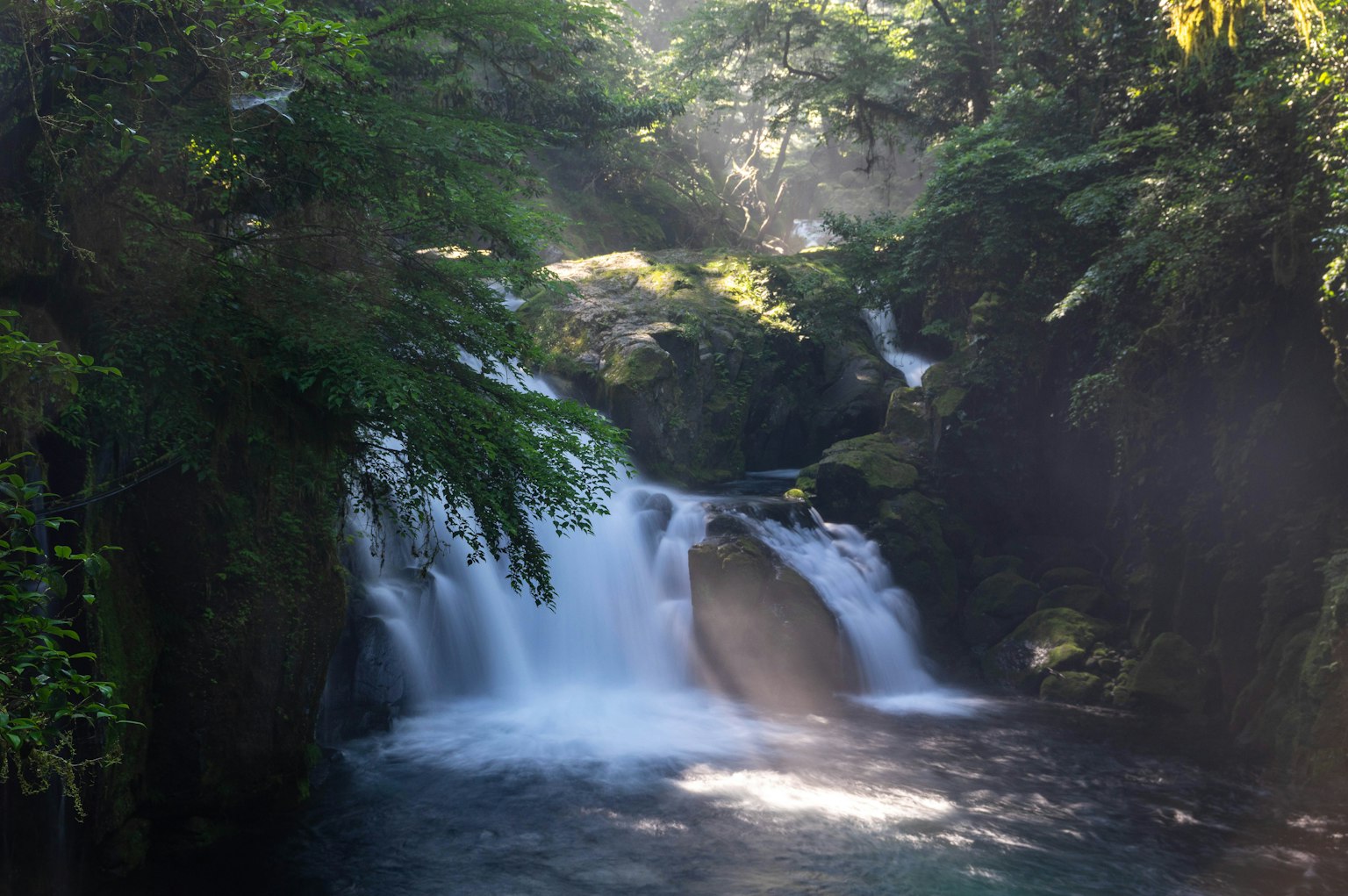 Une belle cascade entourée d'une verdure luxuriante