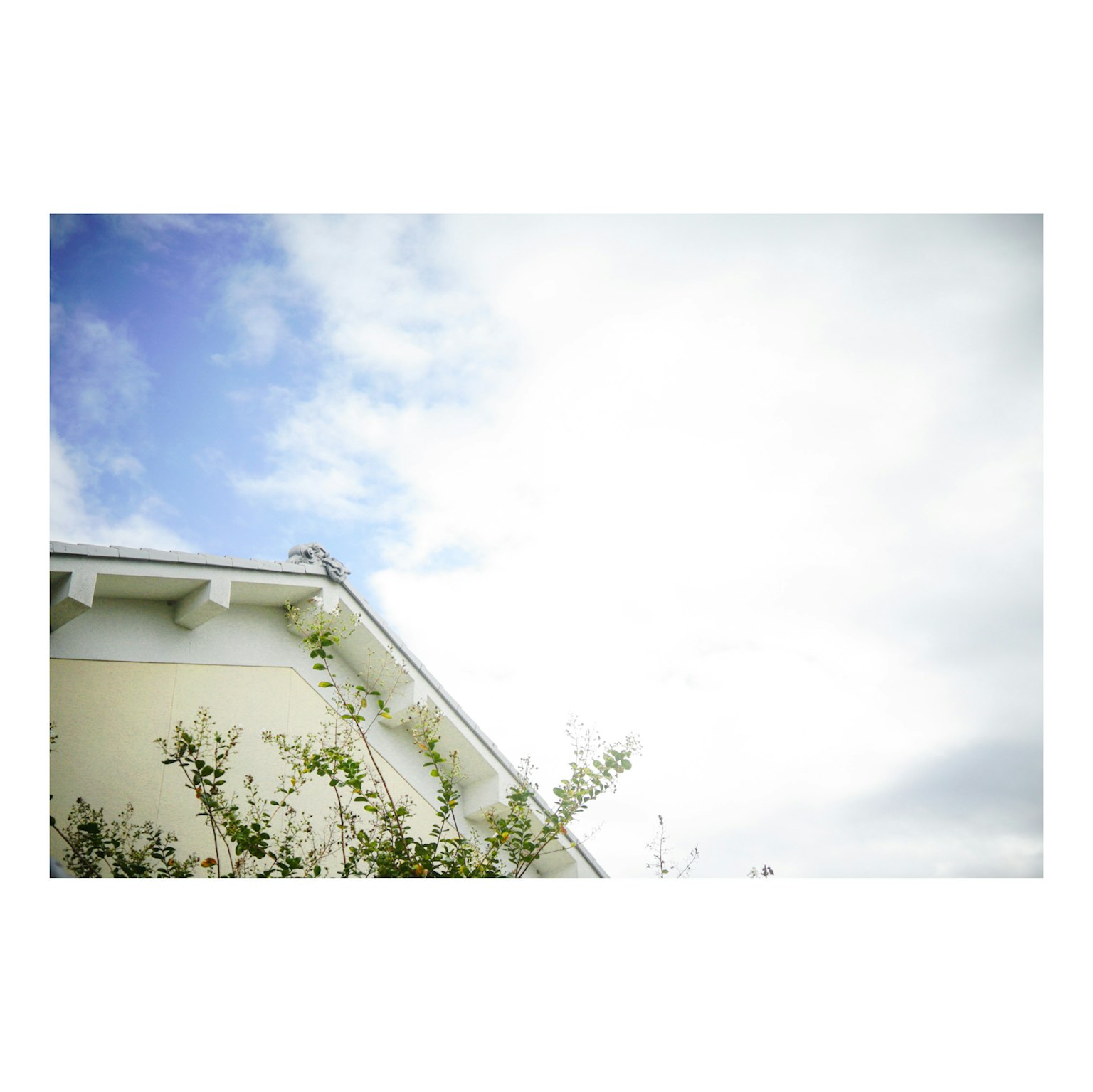 青空と白い雲が広がる背景に、家の屋根と緑の植物が見える