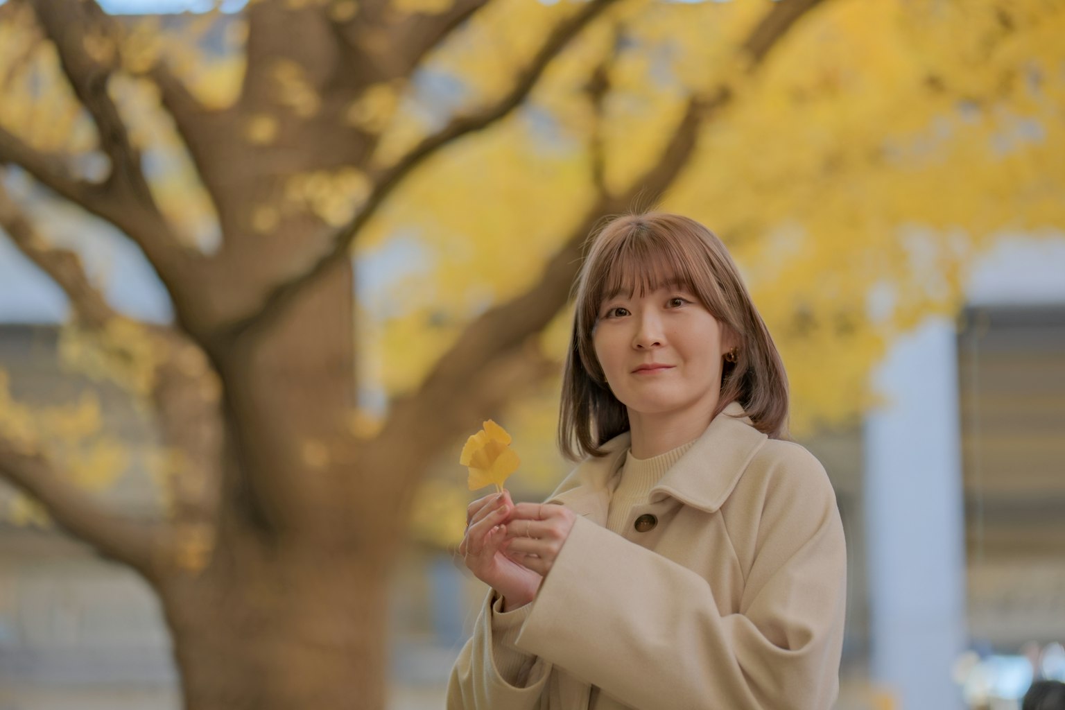 女性手持黃色花朵，背景是滿是黃色樹葉的樹