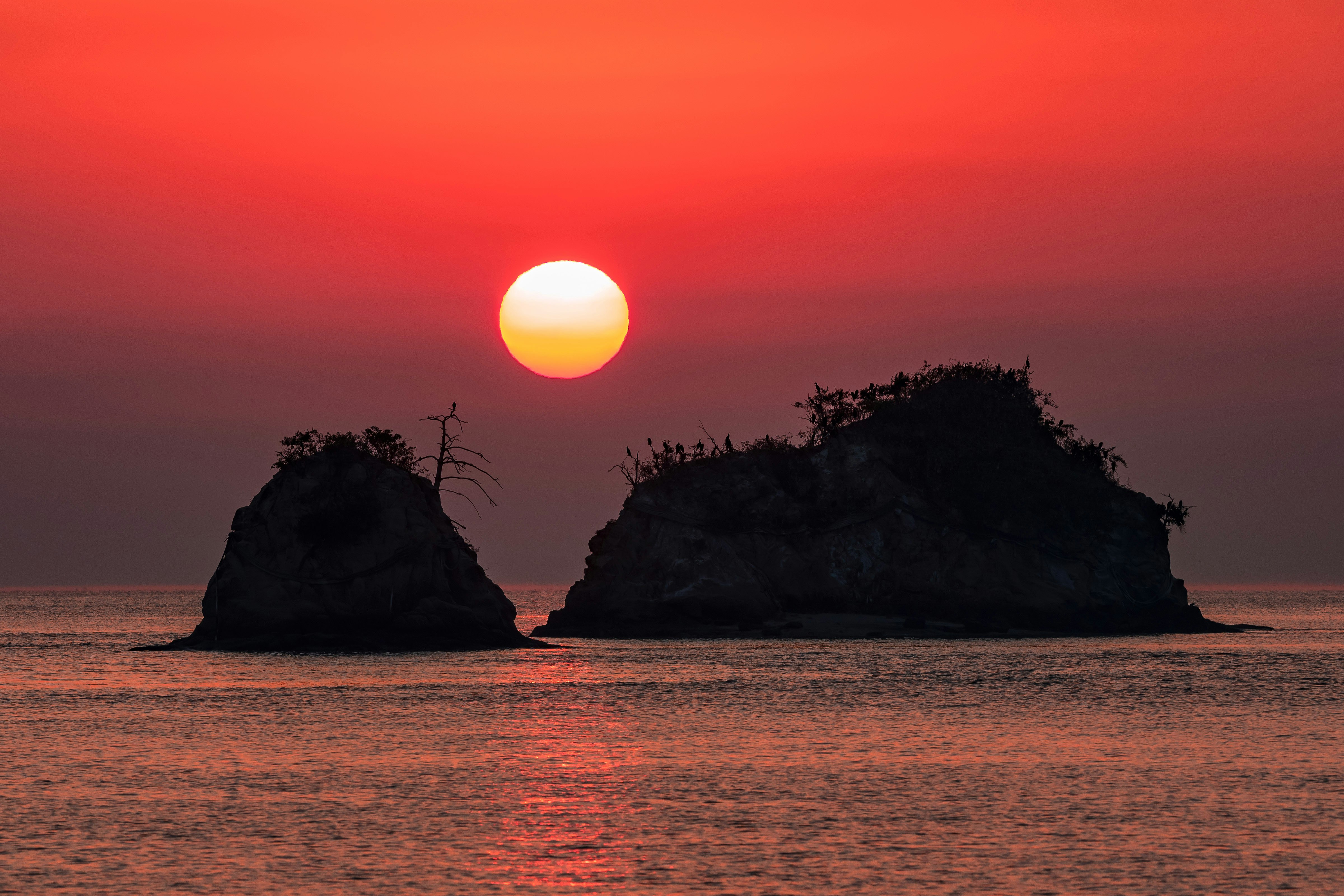 因島の夜明けに浮かぶ小島と水平線から昇る日の出