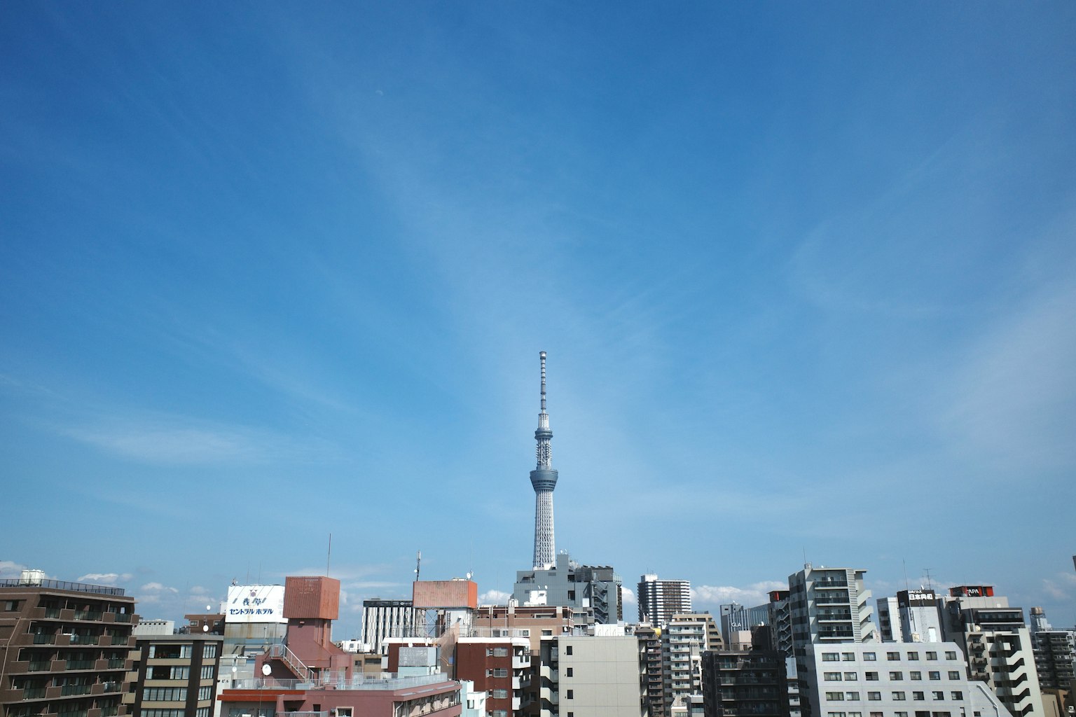 東京スカイツリーと青空の都市景観