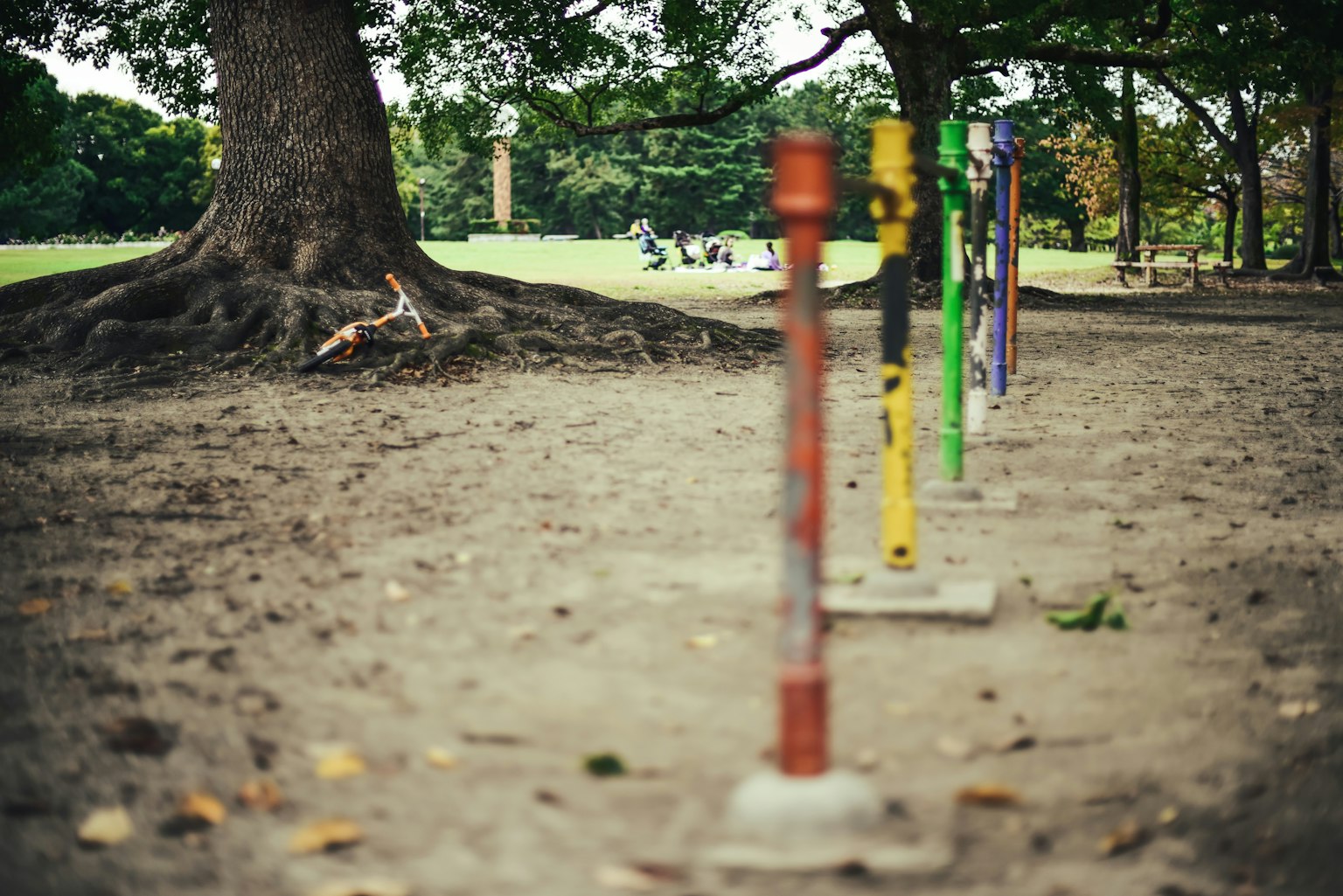 Bunte Pfosten auf dem Boden in einem Park mit einer großen Baumwurzel