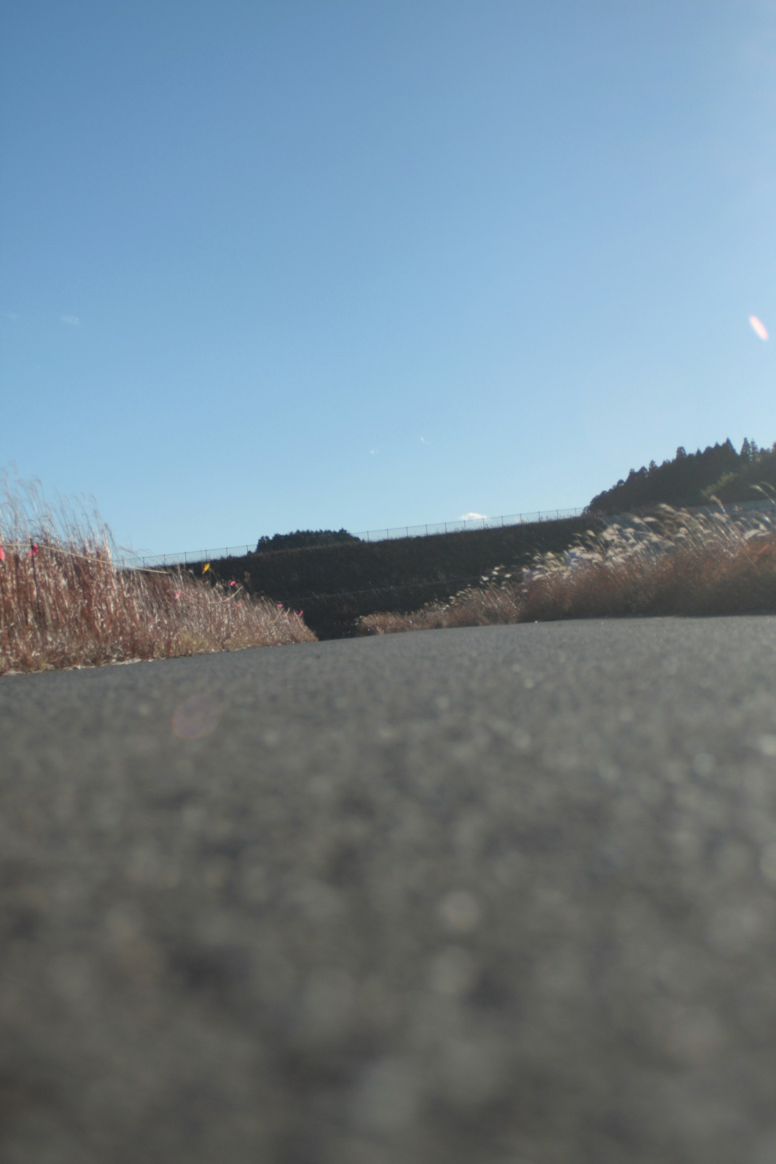 Paved road under a wide blue sky with dry grass