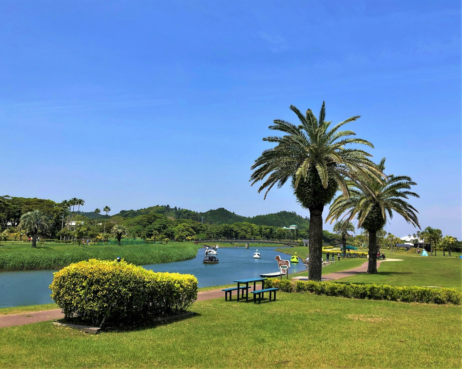 Parc verdoyant avec des palmiers sous un ciel bleu et des bateaux sur une rivière calme