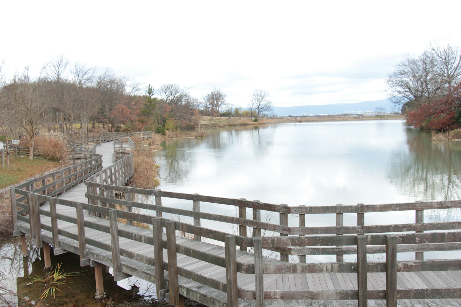 Un lago tranquillo con un ponte di legno e alberi circostanti