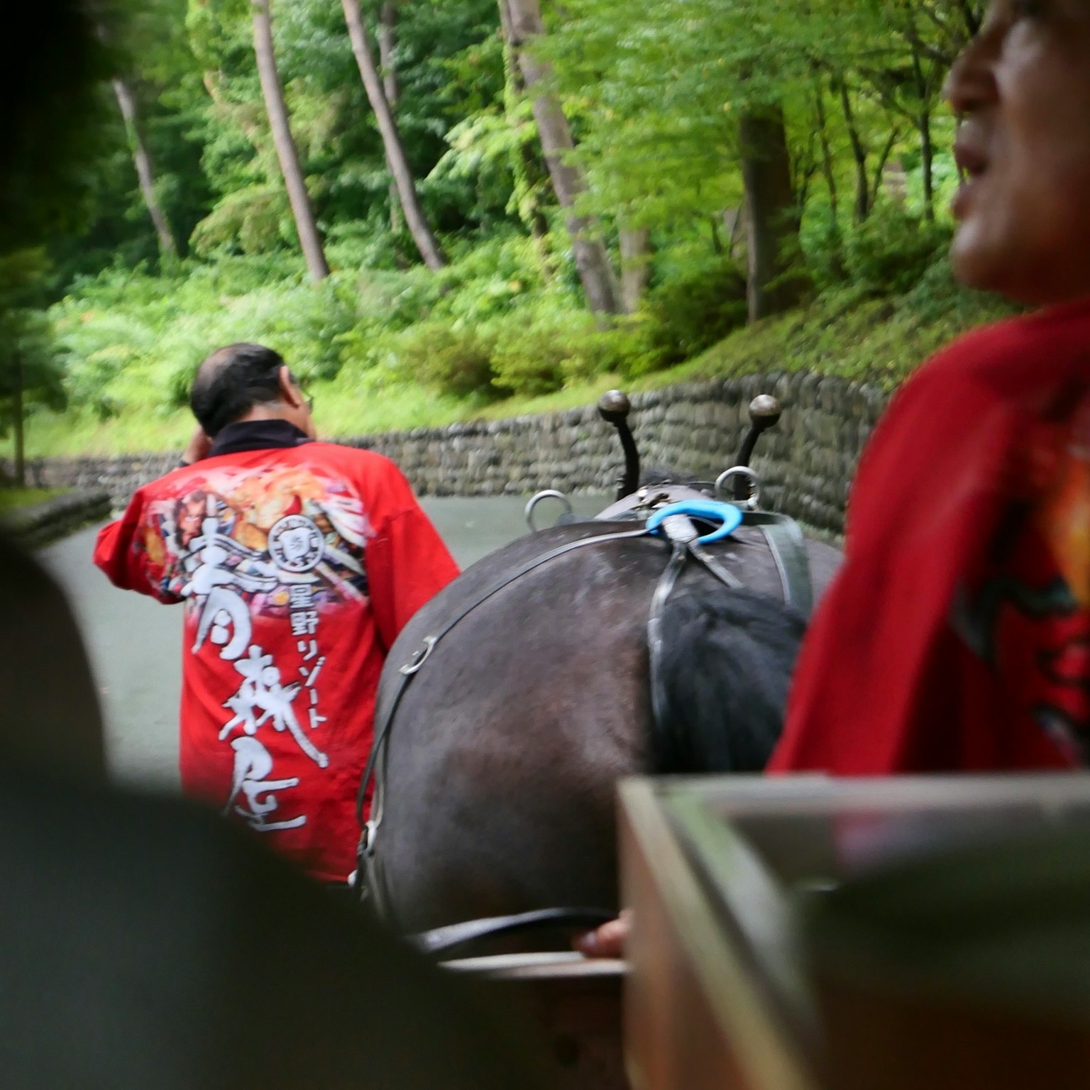 馬を引く人々が赤い衣装を着ている緑豊かな風景