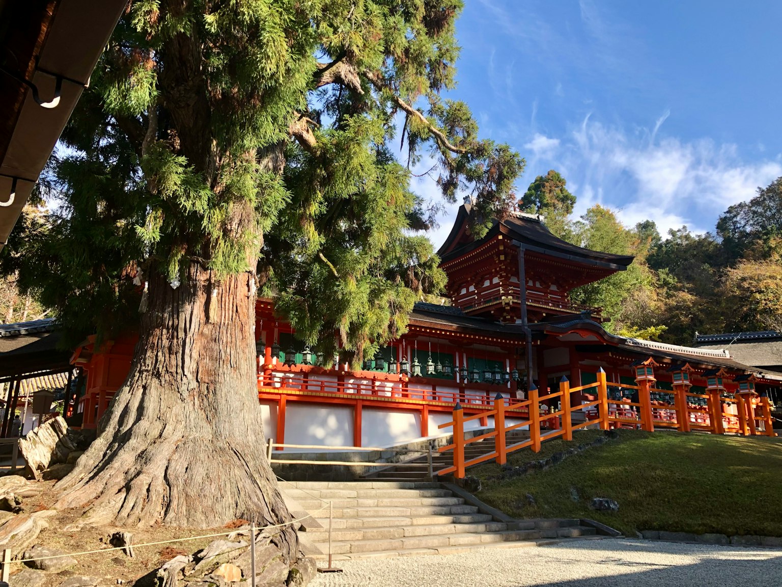 风景特征为大树和红色神社建筑