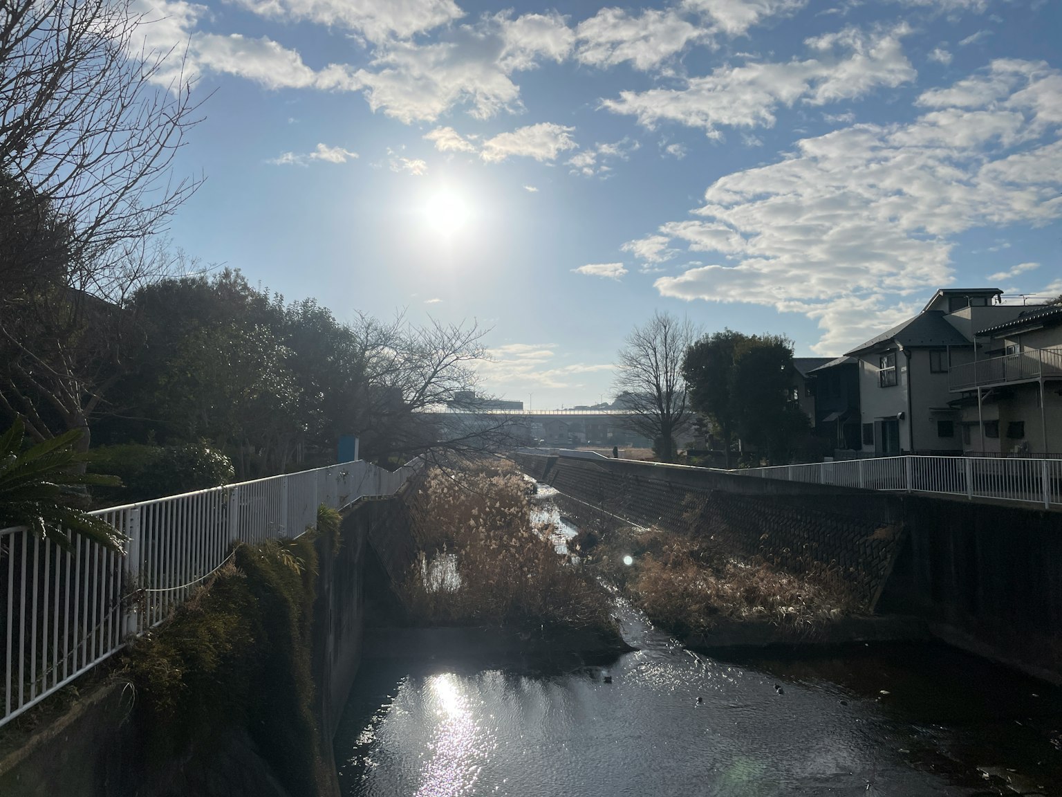 Serene river scene with blue sky and clouds Sunlight reflecting on the water surface