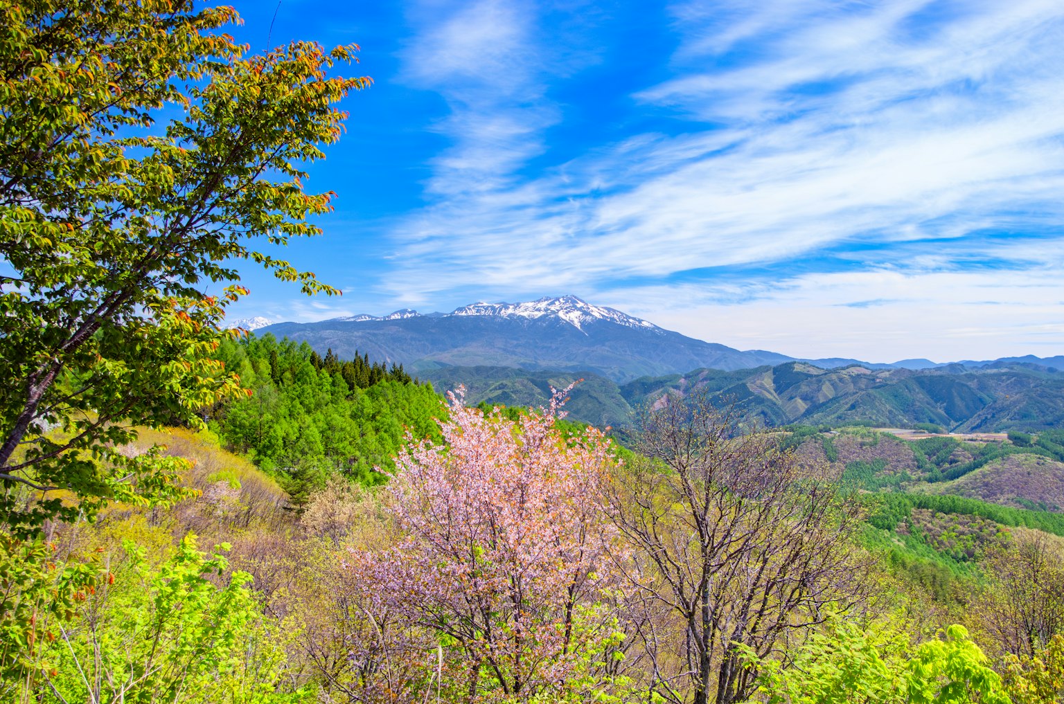 Pemandangan indah pegunungan dengan bunga sakura dan vegetasi subur di bawah langit biru