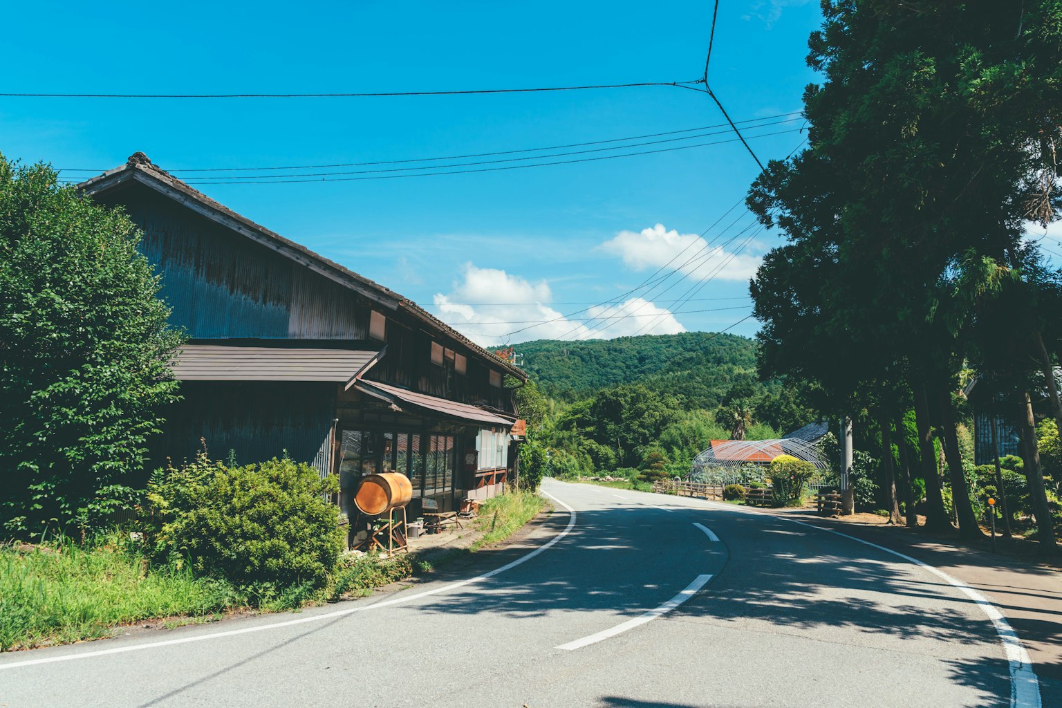 Rural landscape with winding road under blue sky featuring old houses and green trees
