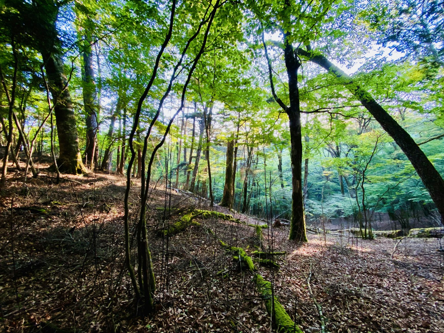 photo-plSzVgMNT2dsbxZqi18i-image