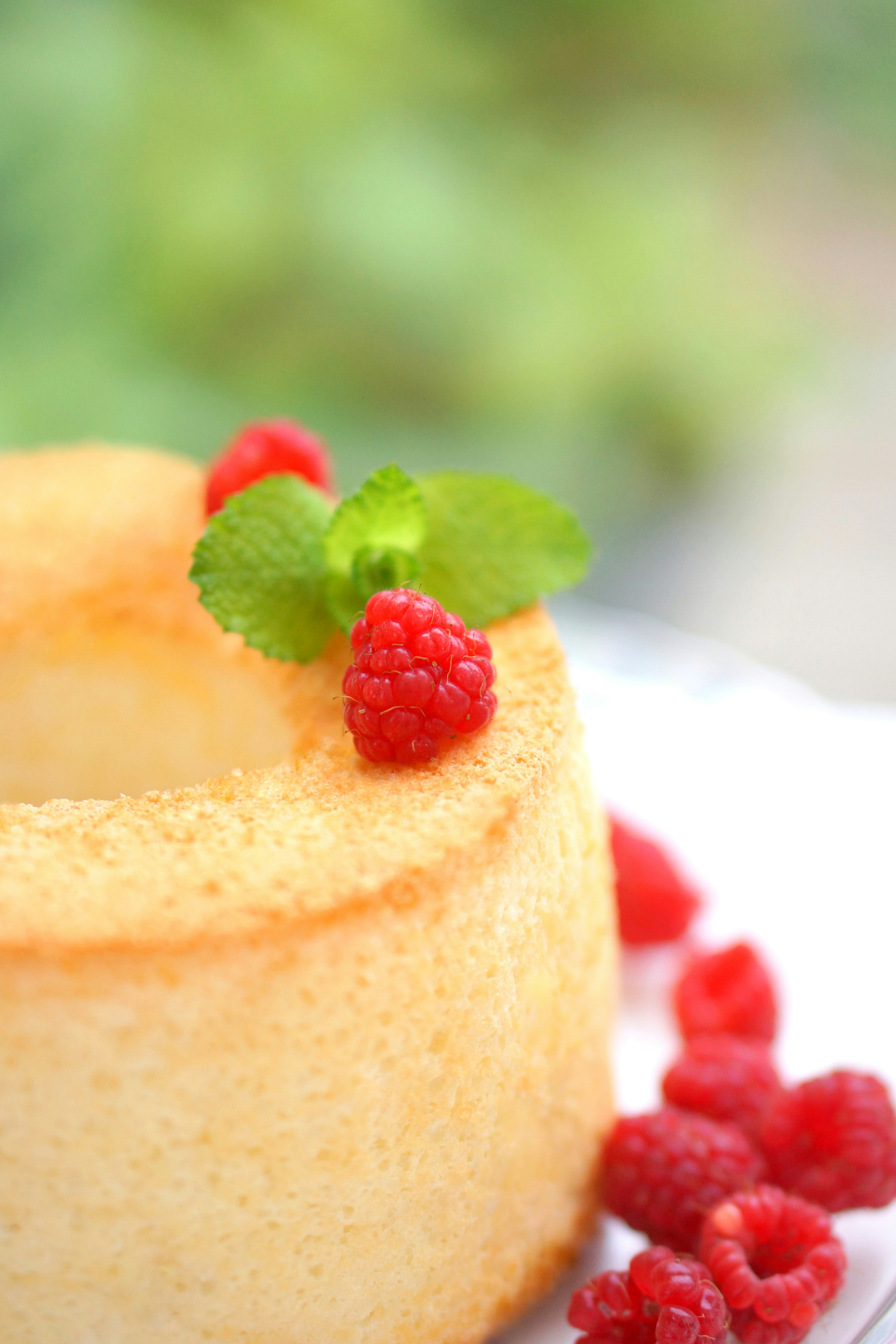 Kue spons dengan topping buah beri close-up