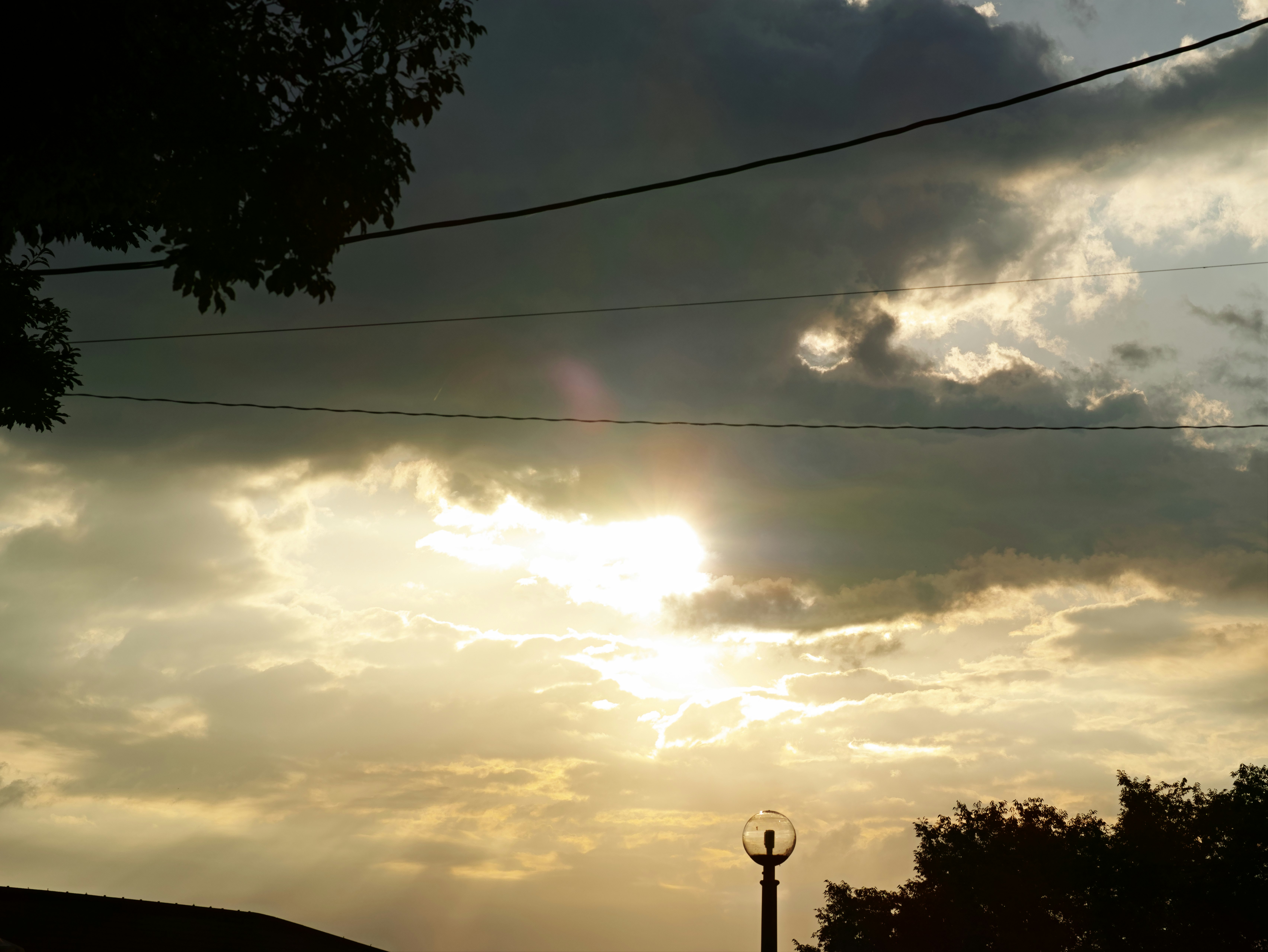 夕暮れの空に広がる雲と木々のシルエット