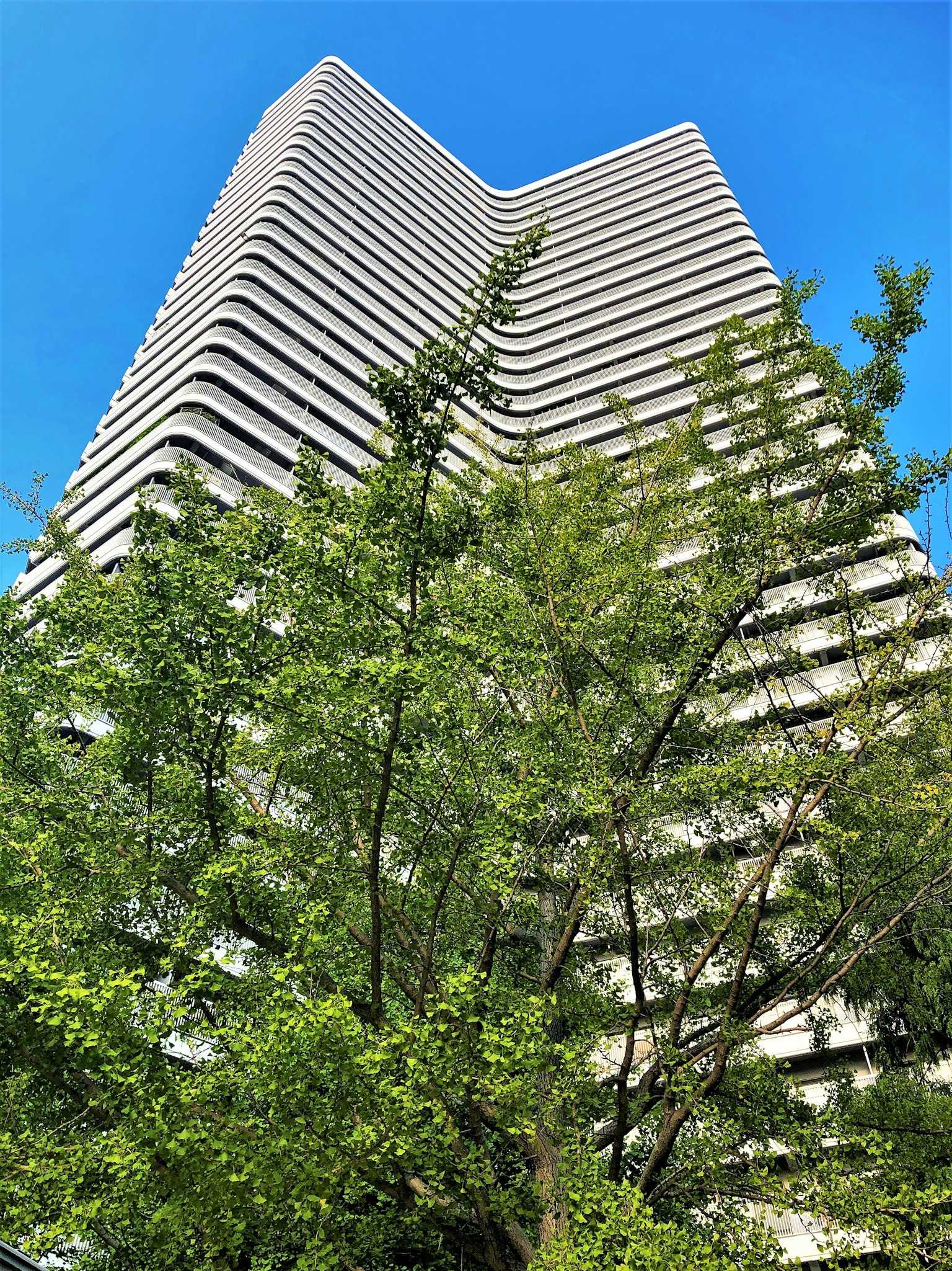 现代高层建筑在蓝天之下耸立，前景有郁郁葱葱的树木