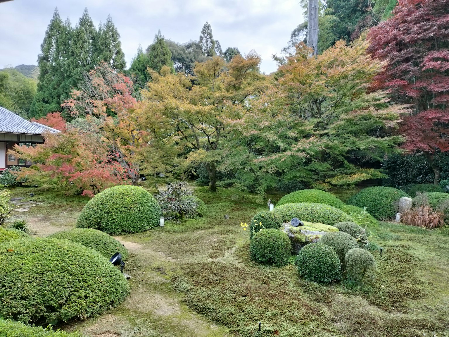 Pemandangan taman Jepang yang indah dengan pohon-pohon berwarna-warni dan vegetasi yang rapi
