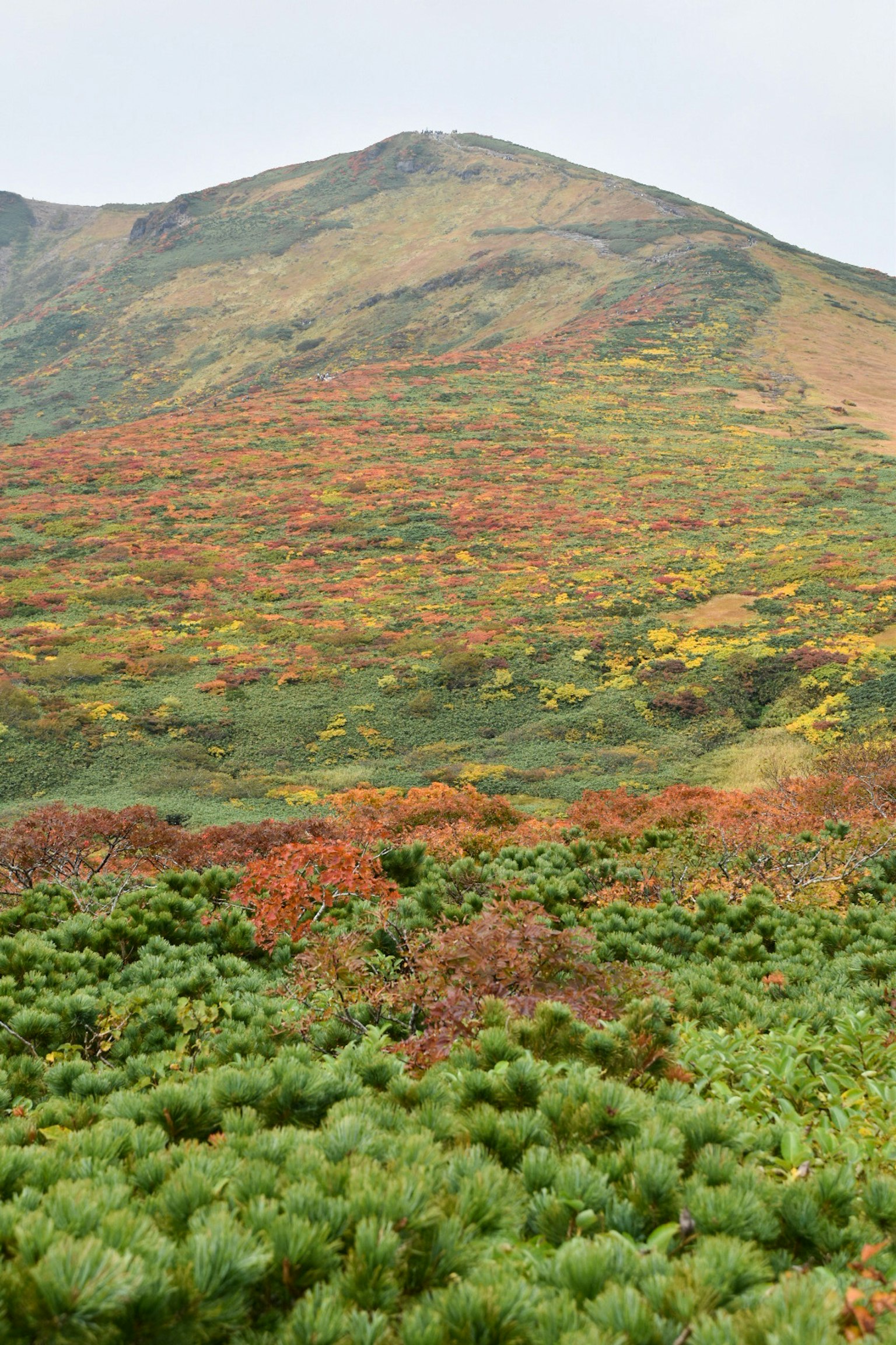 Paesaggio montano con fogliame autunnale vibrante